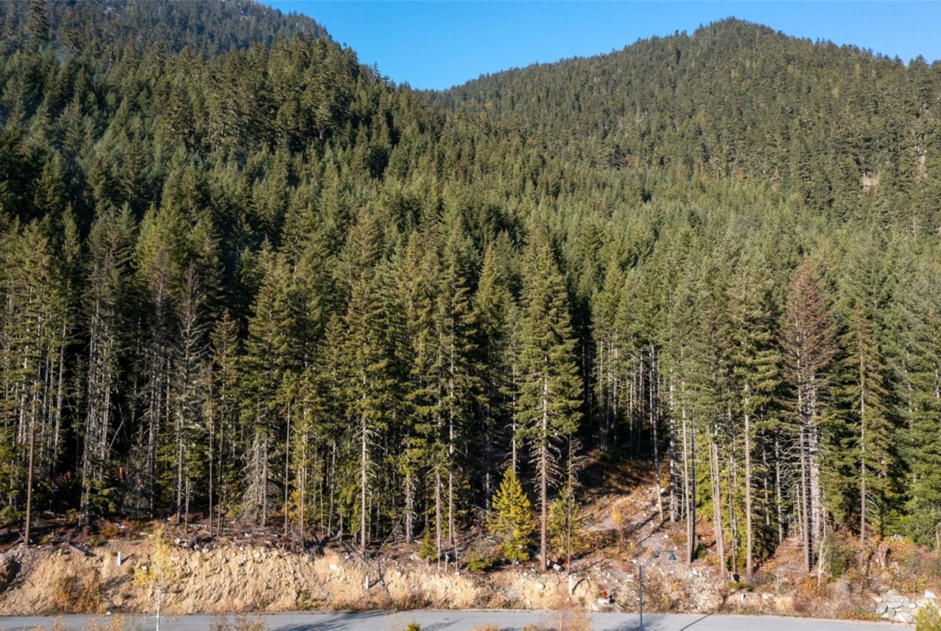 Земельные участки в Whistler, British Columbia 12394702