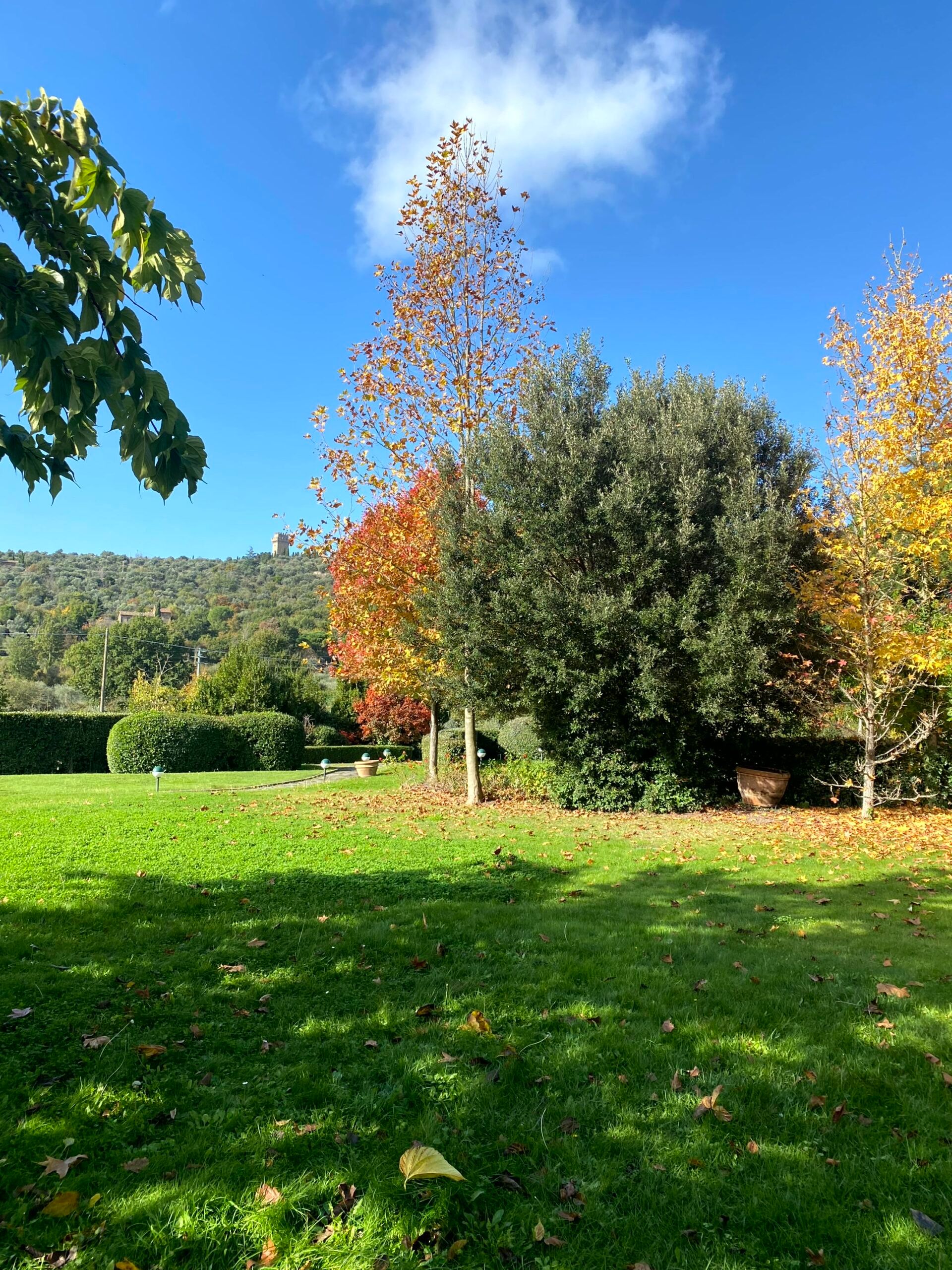 Condominium in Cortona, Tuscany 12395208