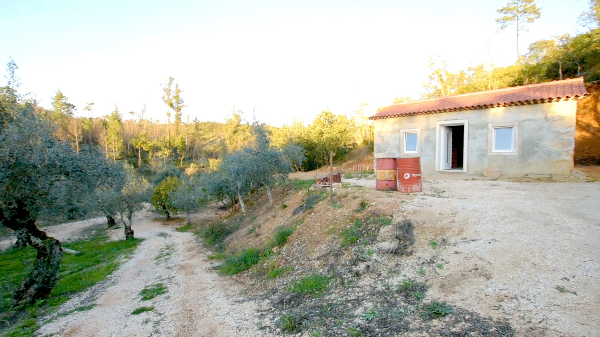 House in Freixianda, Santarém 12395508