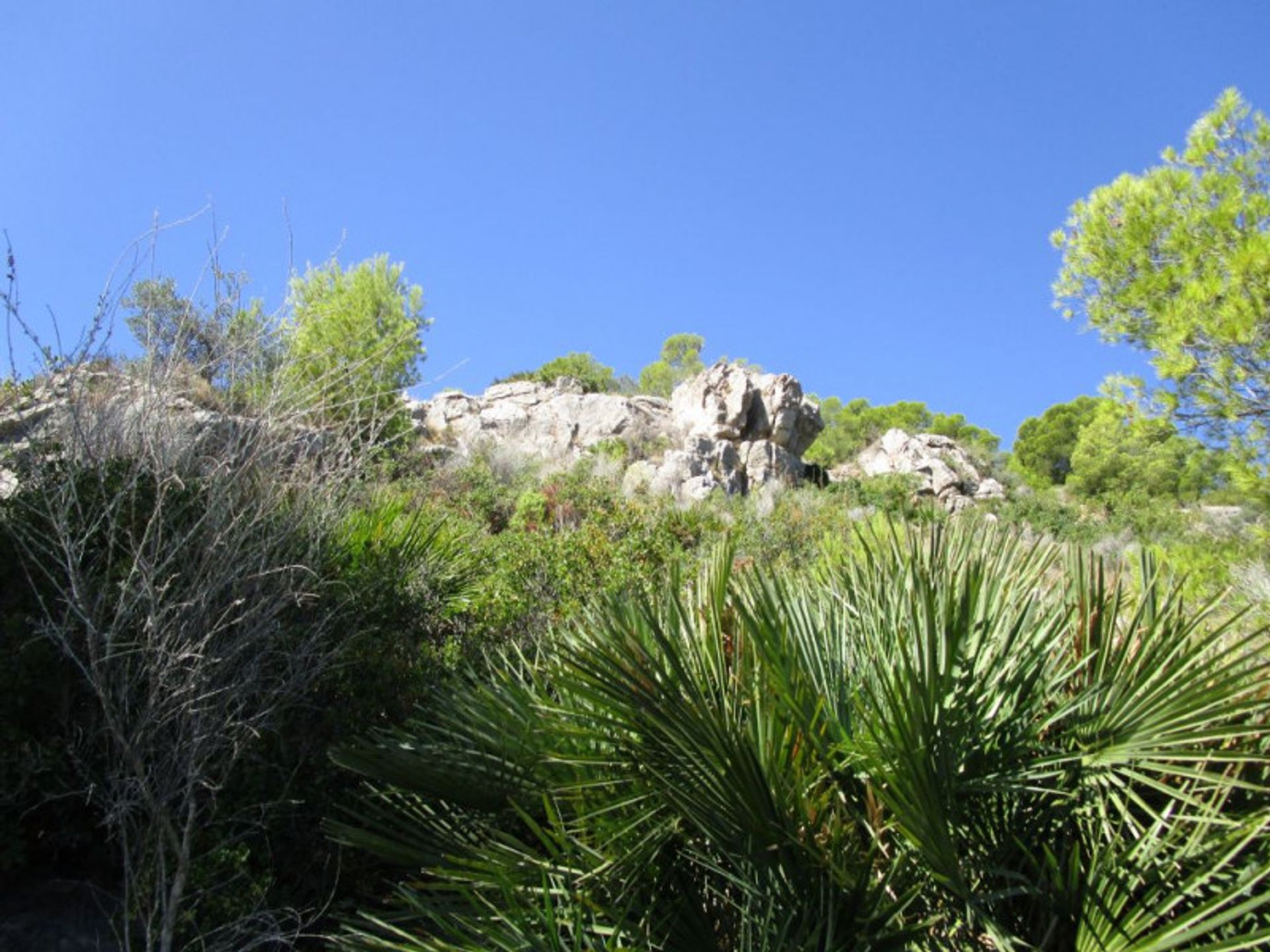 Autre dans Benicasim, Comunidad Valenciana 12395714