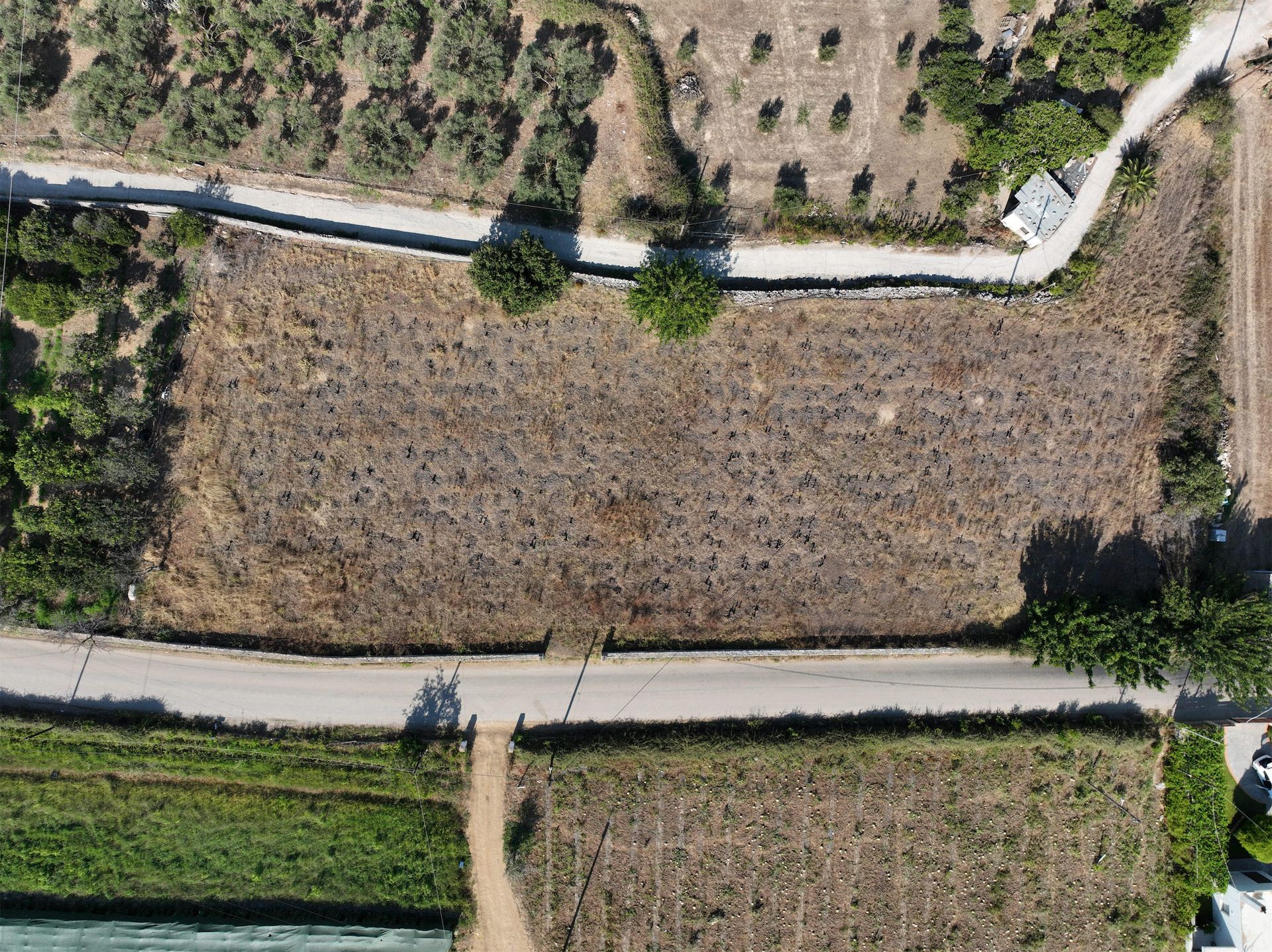 Land in Rethymno, 1 Dimokratias 12395932