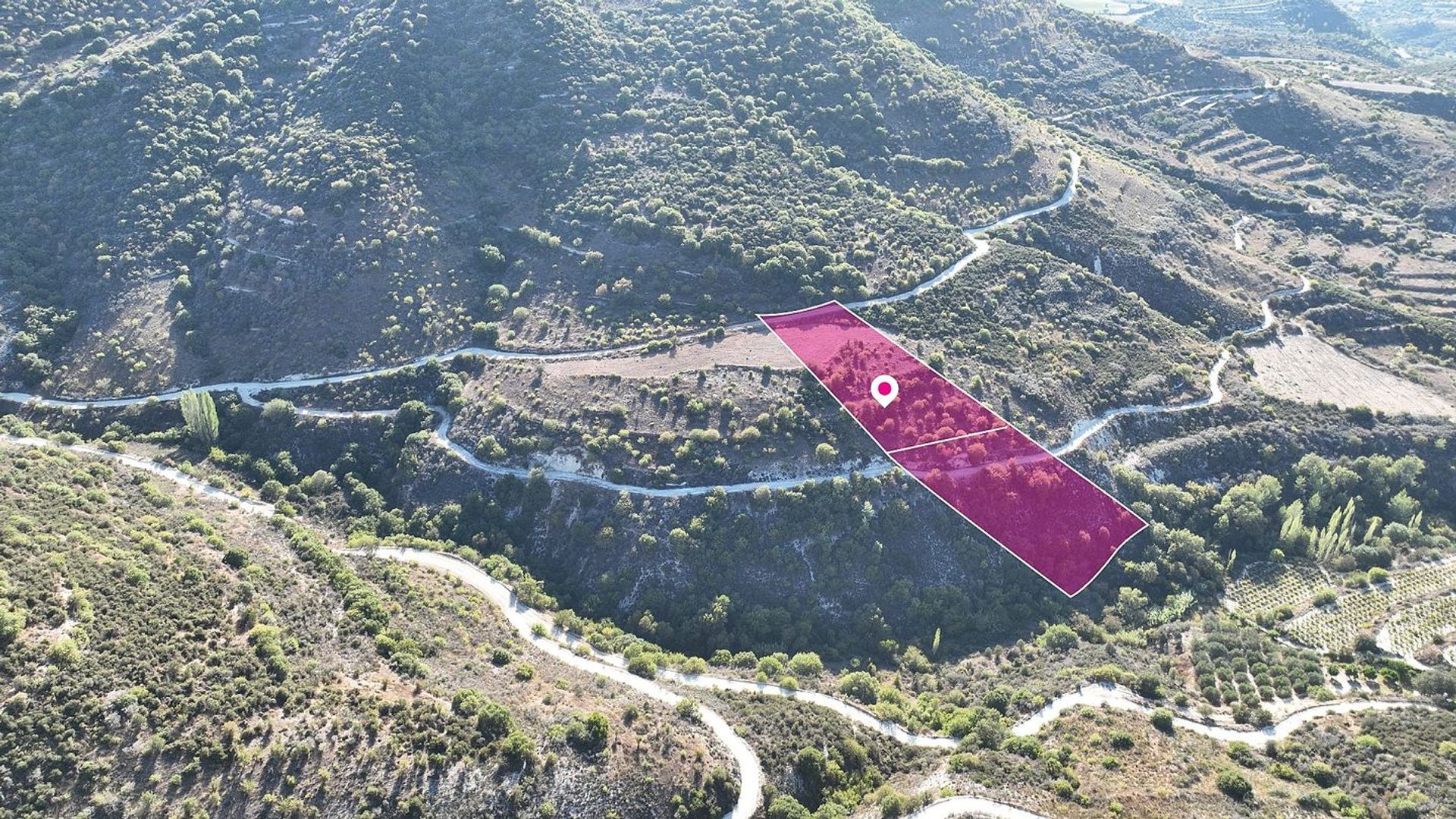 Land in Pampoula, Lemesos 12396339