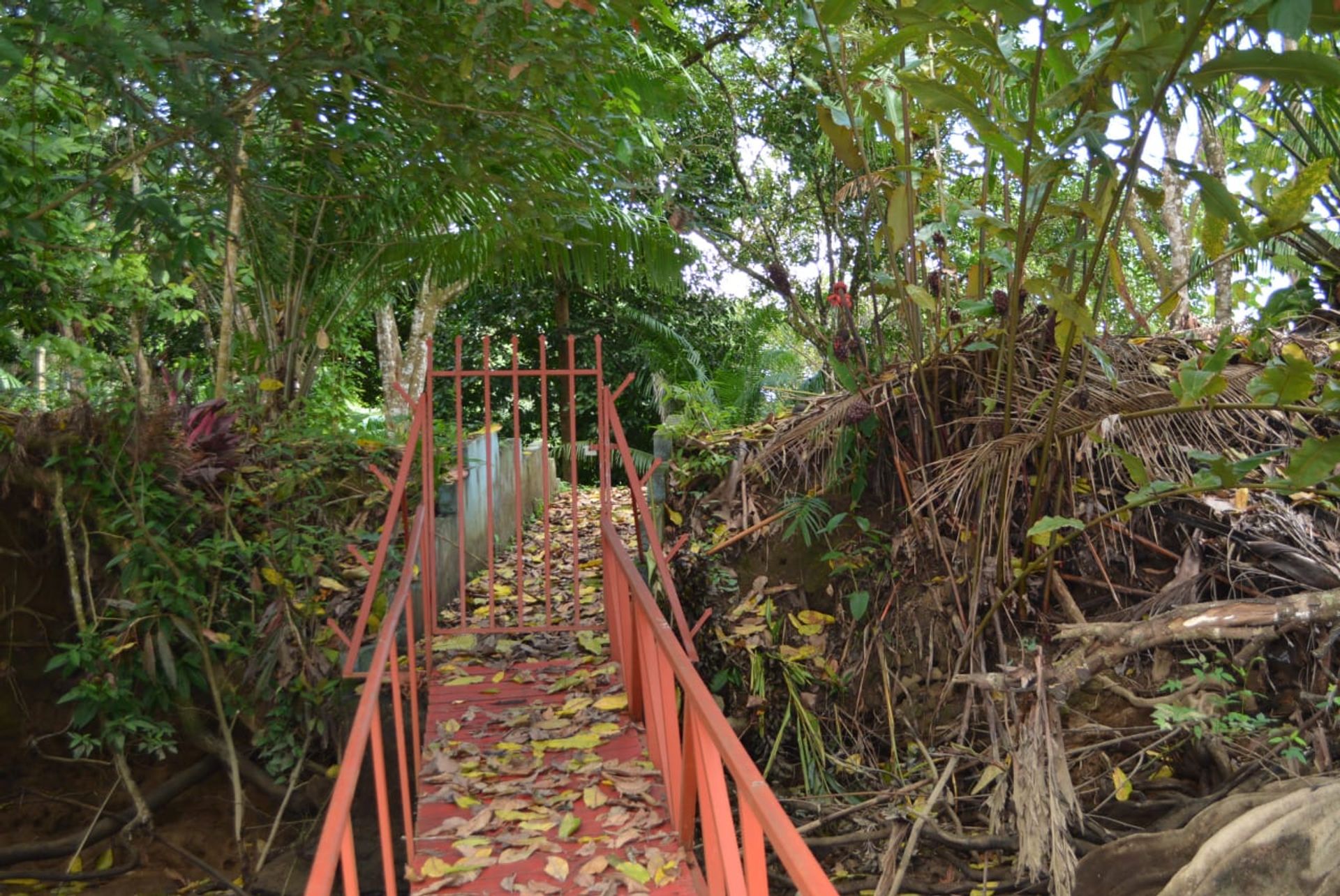 rumah dalam Sierpe, Provincia de Puntarenas 12399200