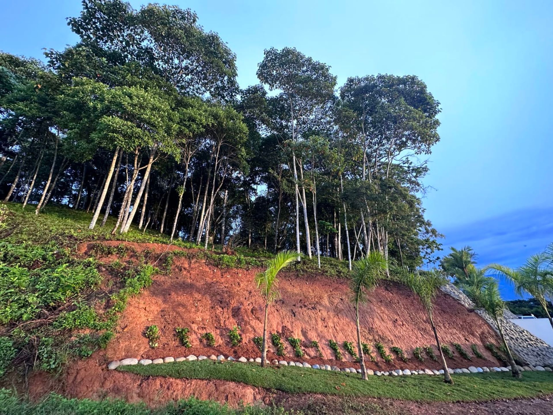 بيت في Alajuela, Provincia de Alajuela 12399234