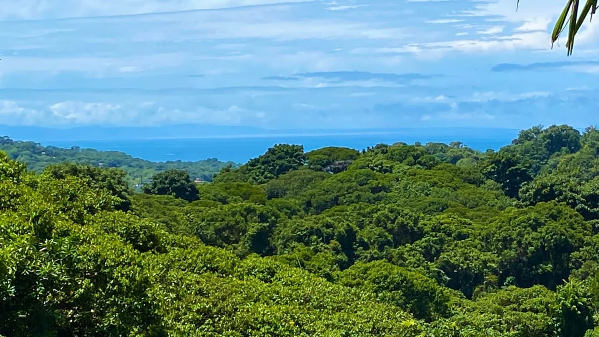 Condomínio no Savegre de Aguirre, Puntarenas Province 12399242