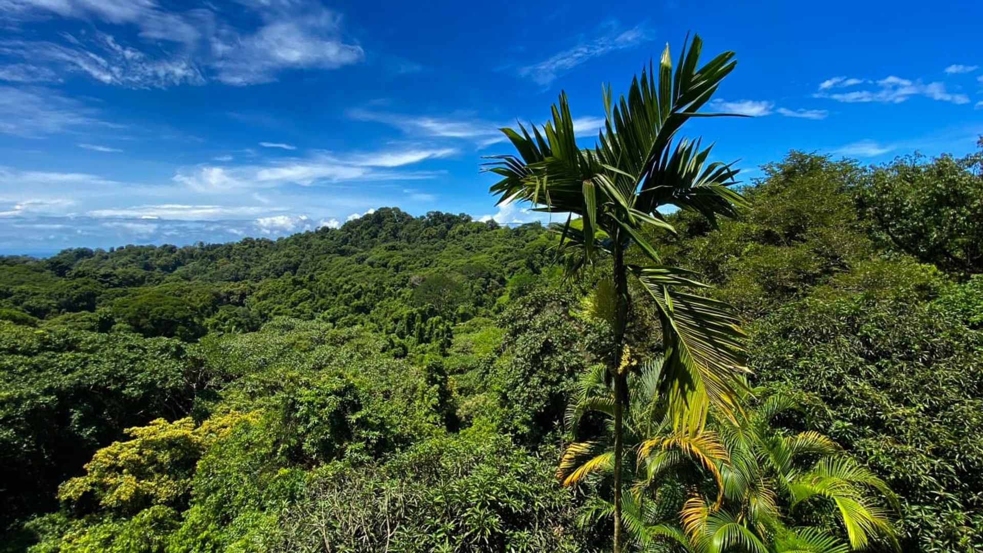 Condominium in Savegre de Aguirre, Puntarenas Province 12399242