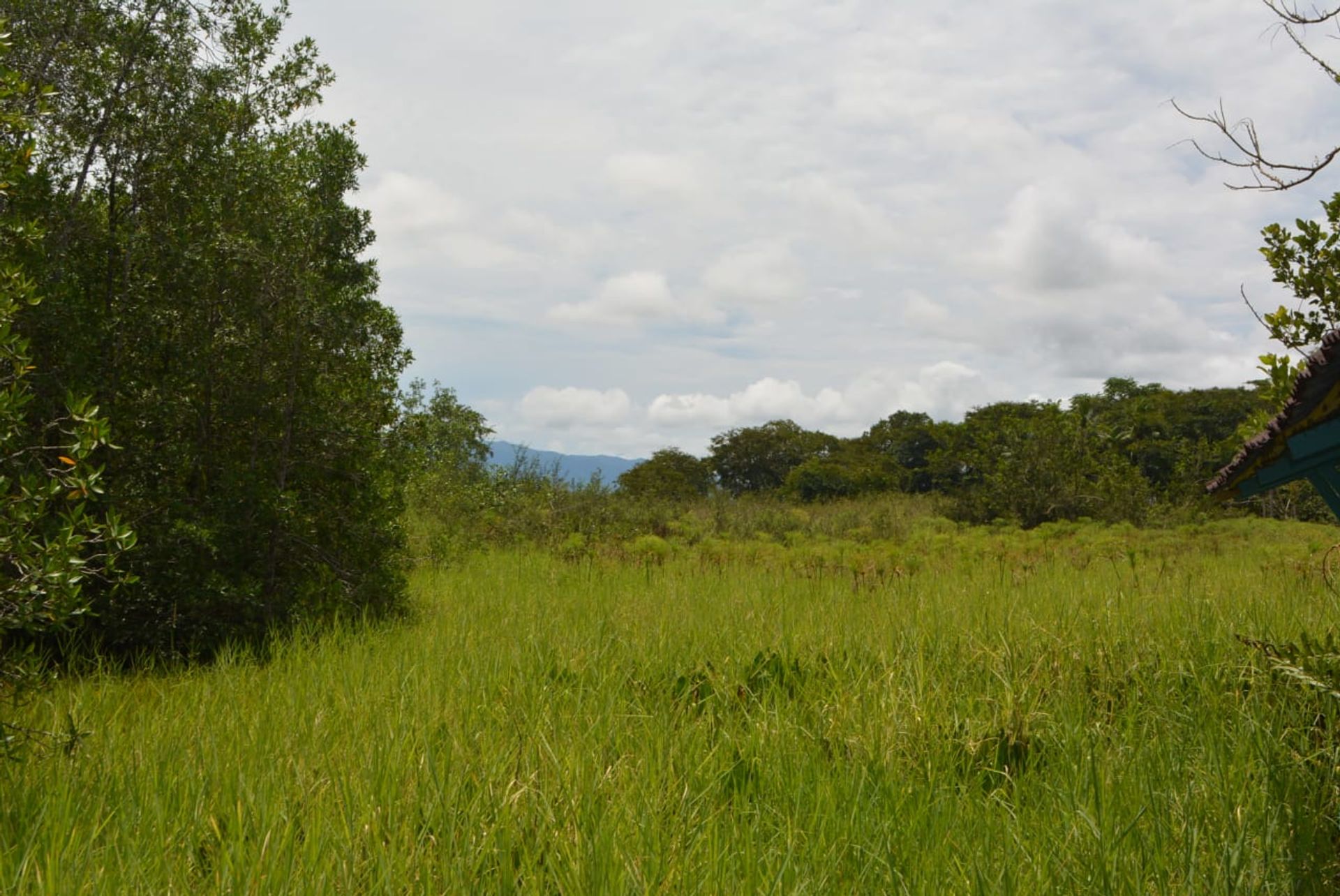 Συγκυριαρχία σε , Puntarenas Province 12399261