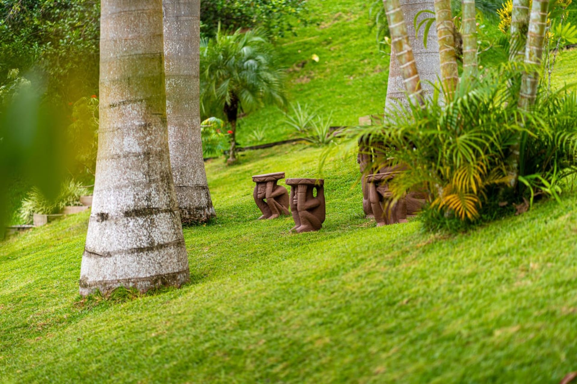 Casa nel Savegre, Provincia de Puntarenas 12399265