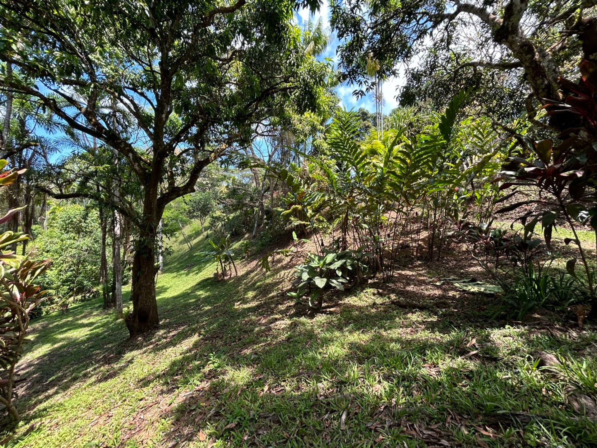 loger dans Platanillo, San José Province 12399269