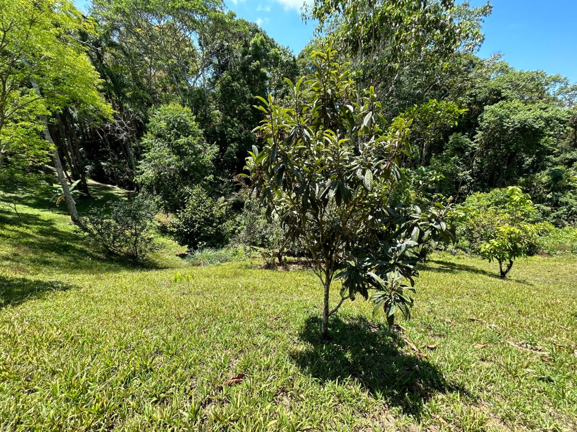 loger dans Platanillo, San José Province 12399269