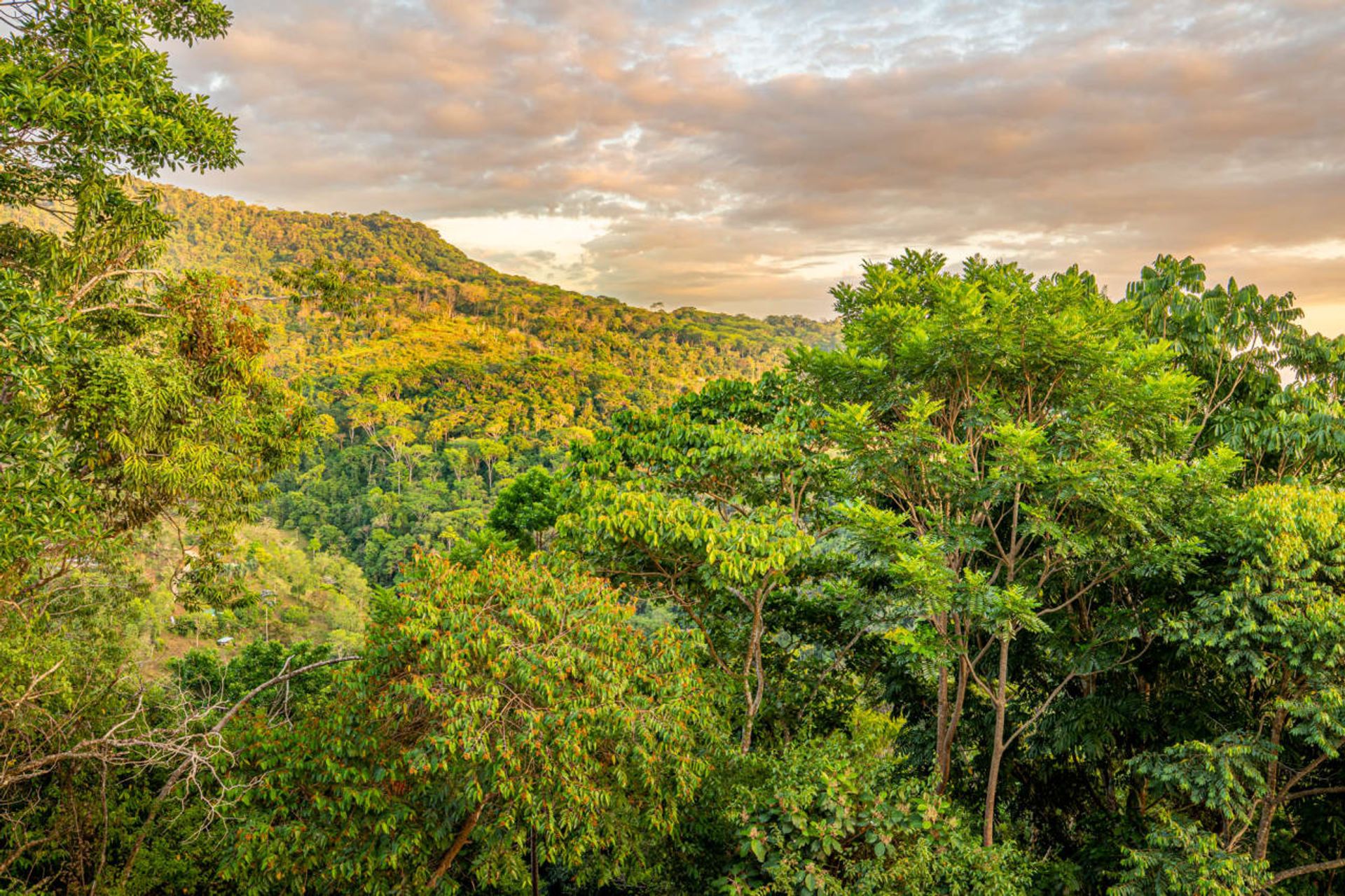 Кондоминиум в Uvita, Puntarenas Province 12399271