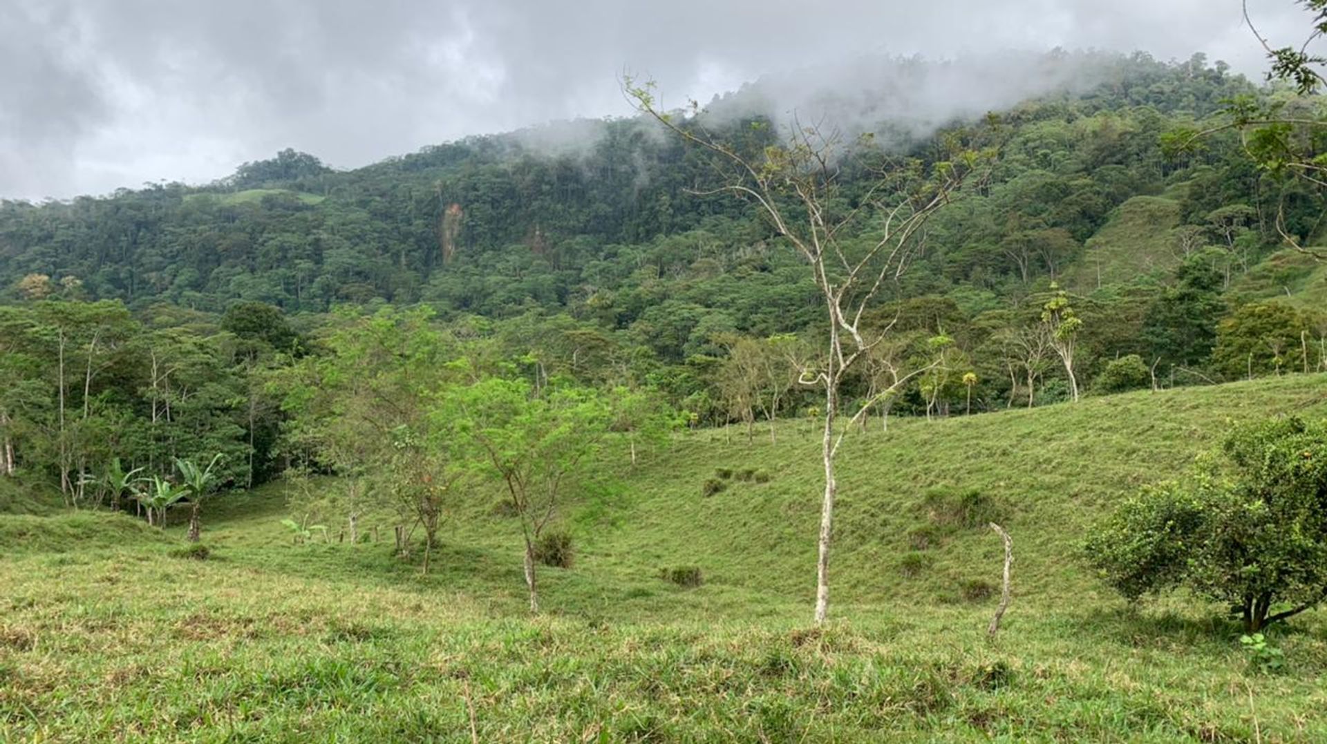 Huis in San Isidro de El General, San José Province 12399283