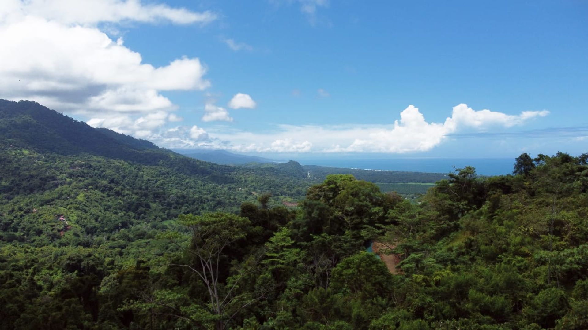 Talo sisään Savegre, Provincia de Puntarenas 12399285