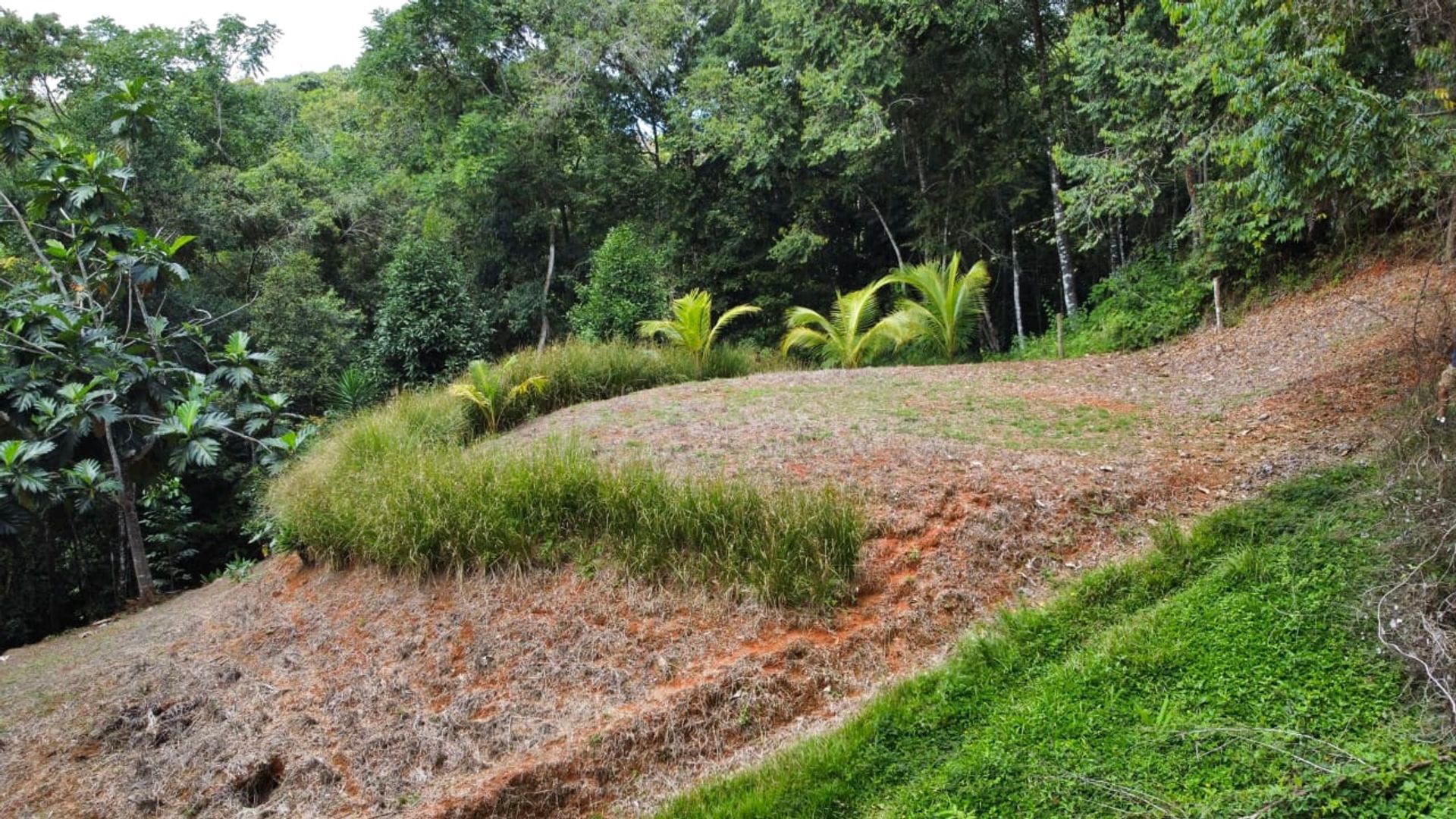 Condominio nel Platanillo, San José Province 12399288