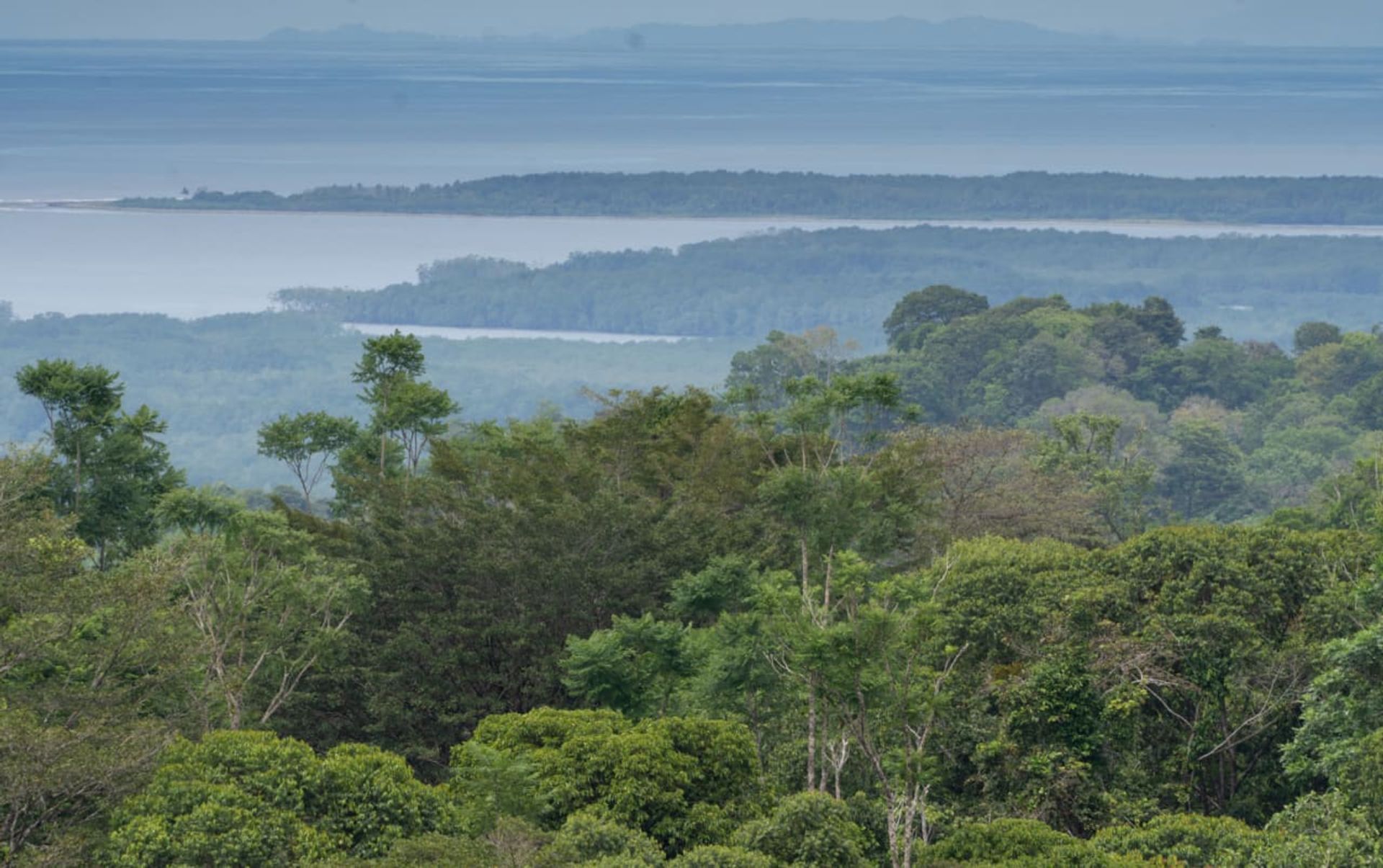 सम्मिलित में Sierpe, Provincia de Puntarenas 12399289