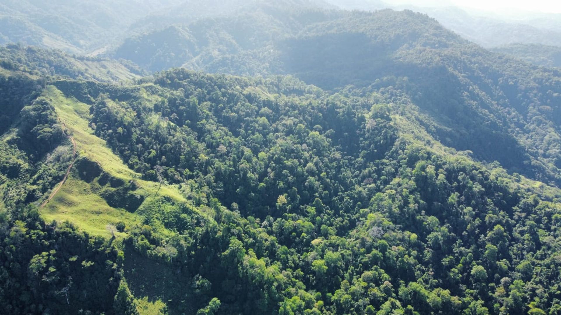 房子 在 Ciudad Cortés, Puntarenas Province 12399300