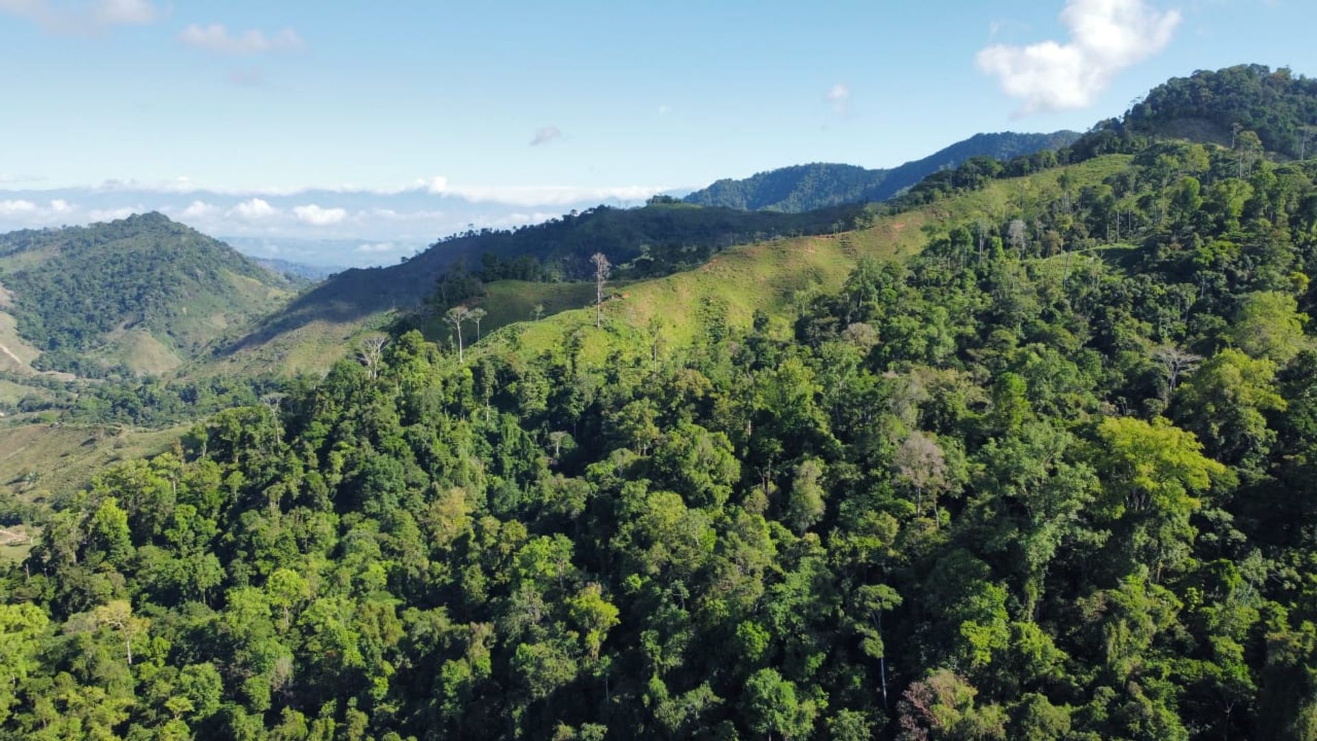 房子 在 Ciudad Cortés, Puntarenas Province 12399300