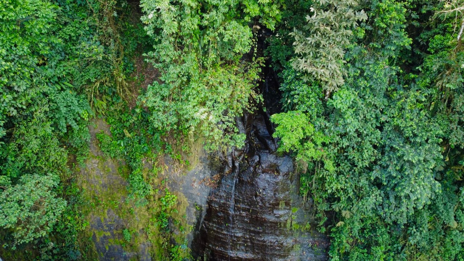 房子 在 Ciudad Cortés, Puntarenas Province 12399300