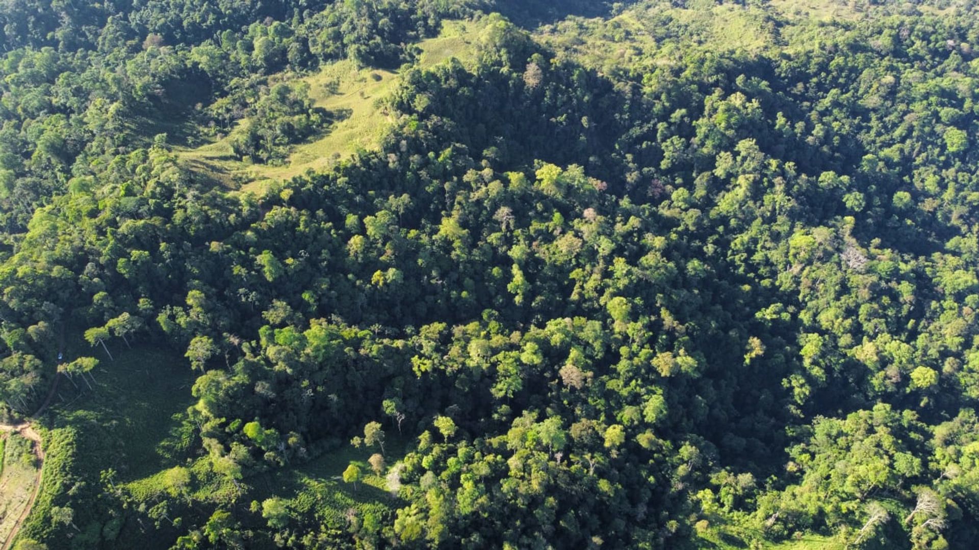 房子 在 Ciudad Cortés, Puntarenas Province 12399300