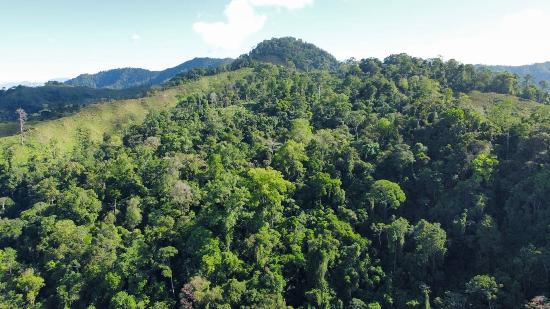 房子 在 Ciudad Cortés, Puntarenas Province 12399300