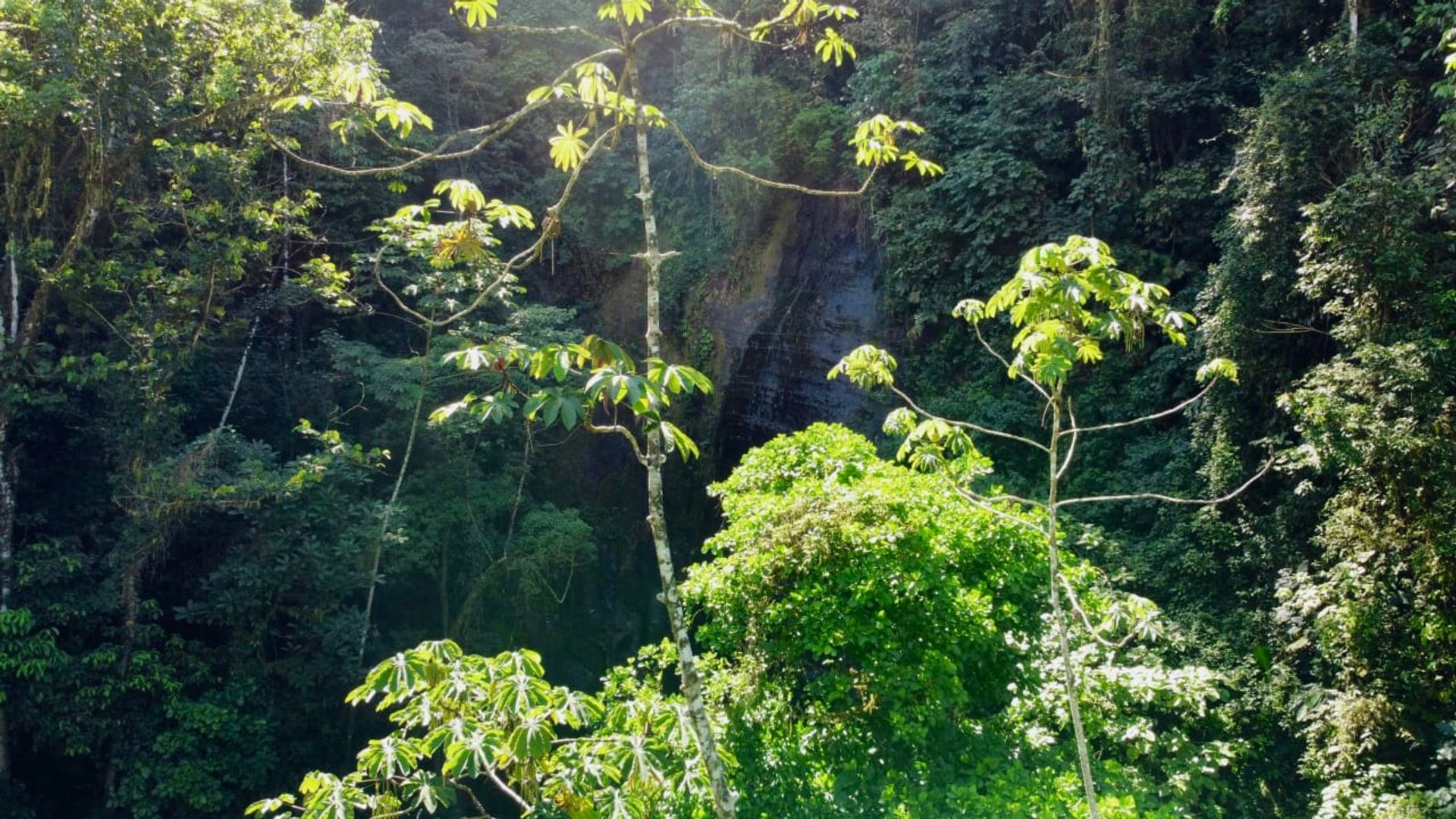 房子 在 Ciudad Cortés, Puntarenas Province 12399300