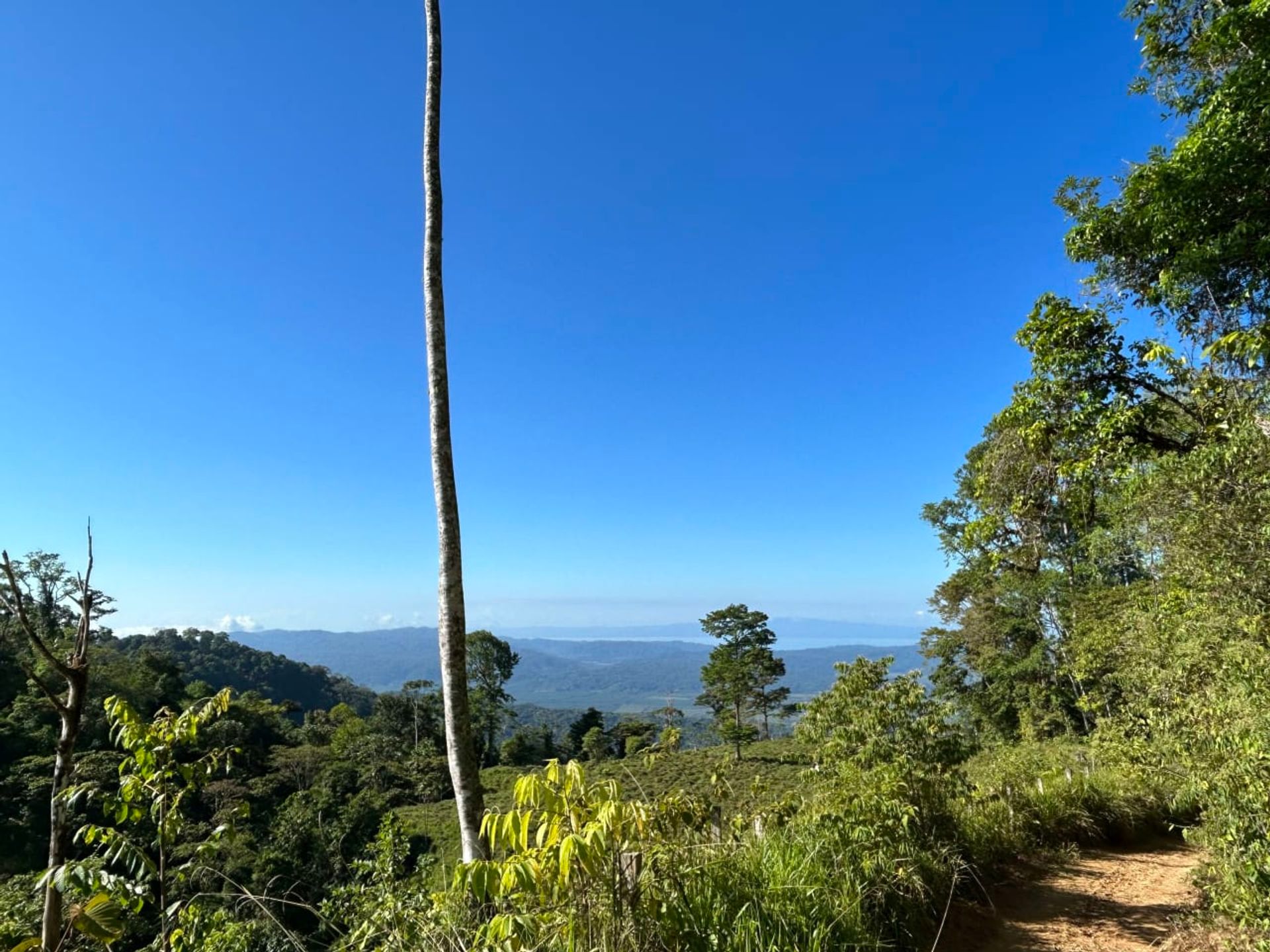 房子 在 Ciudad Cortés, Puntarenas Province 12399300