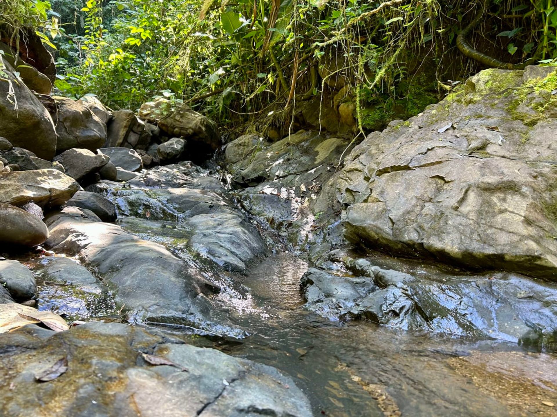 房子 在 Ciudad Cortés, Puntarenas Province 12399300