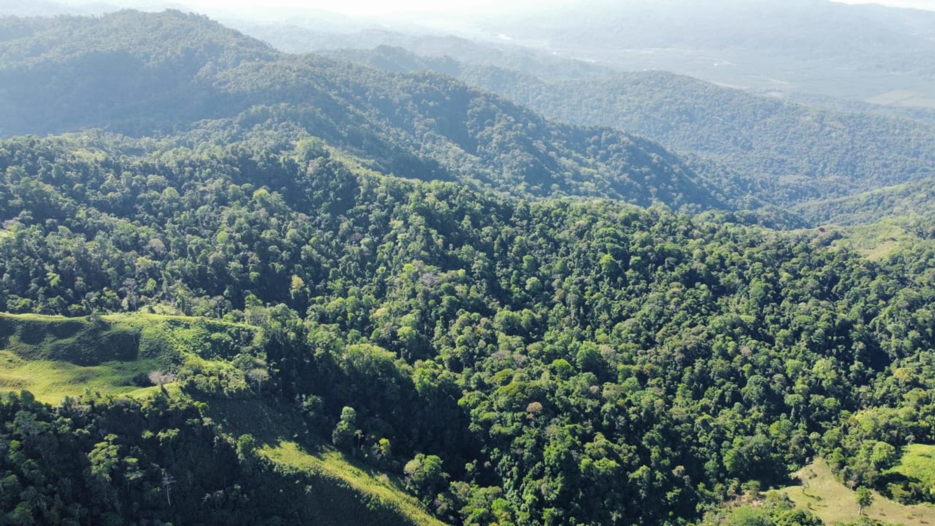 房子 在 Ciudad Cortés, Puntarenas Province 12399300