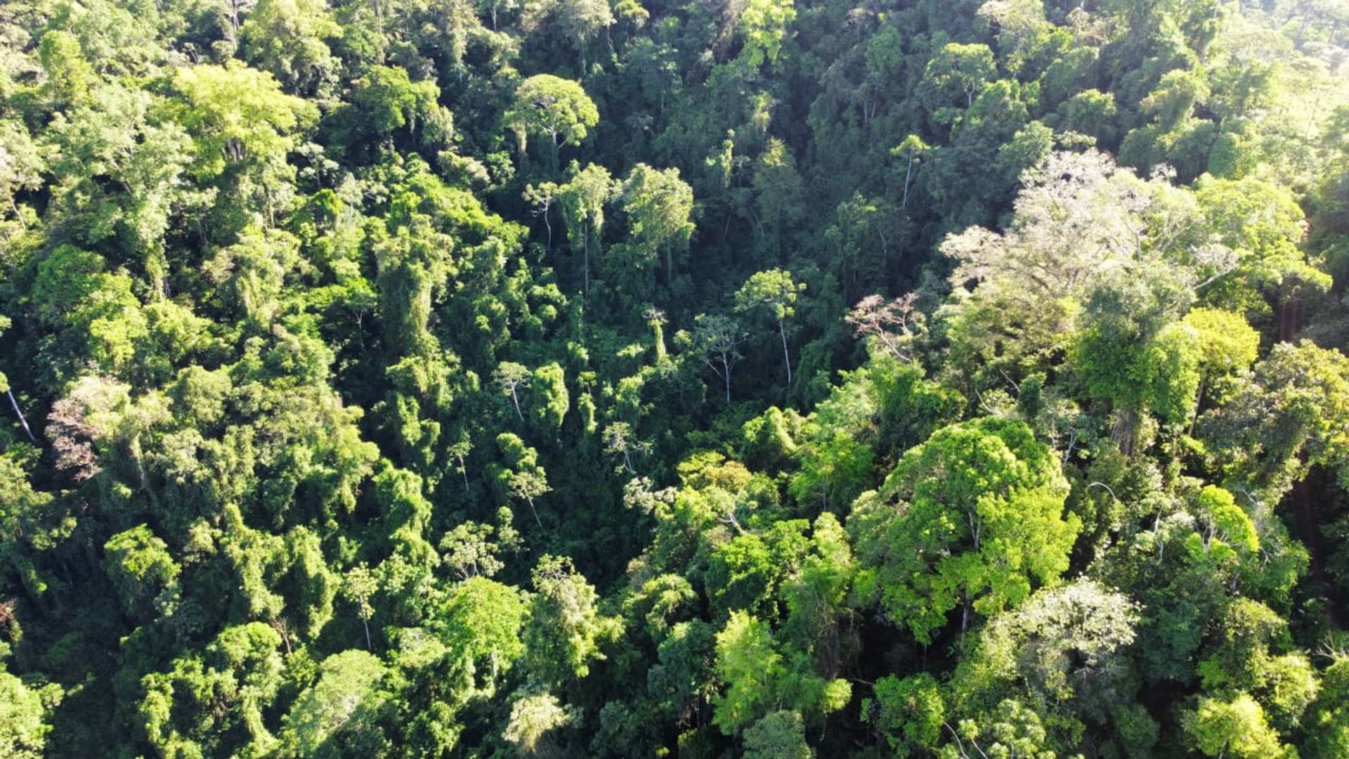 房子 在 Ciudad Cortés, Puntarenas Province 12399300