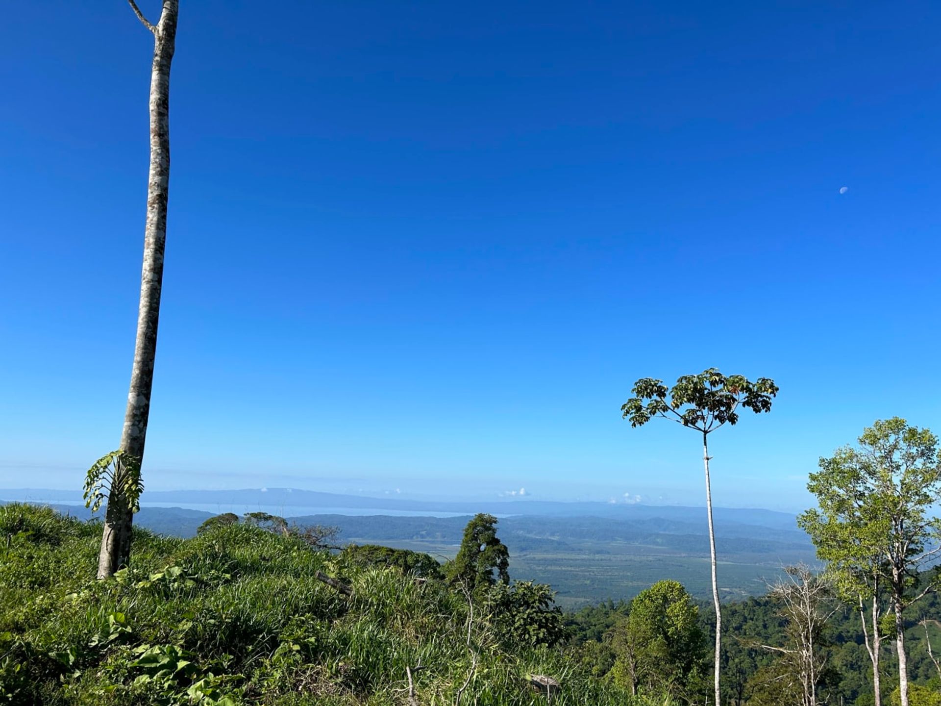 房子 在 Ciudad Cortés, Puntarenas Province 12399300