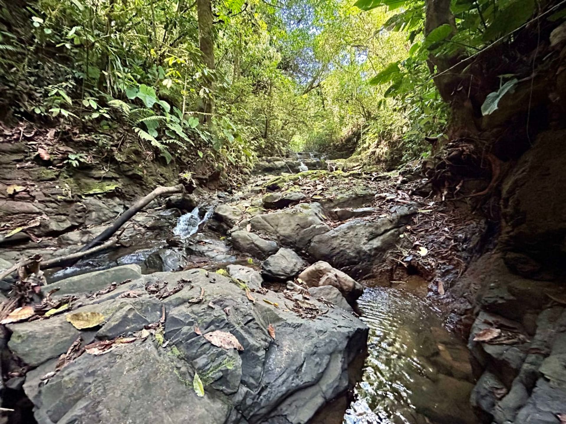 房子 在 Ciudad Cortés, Puntarenas Province 12399300