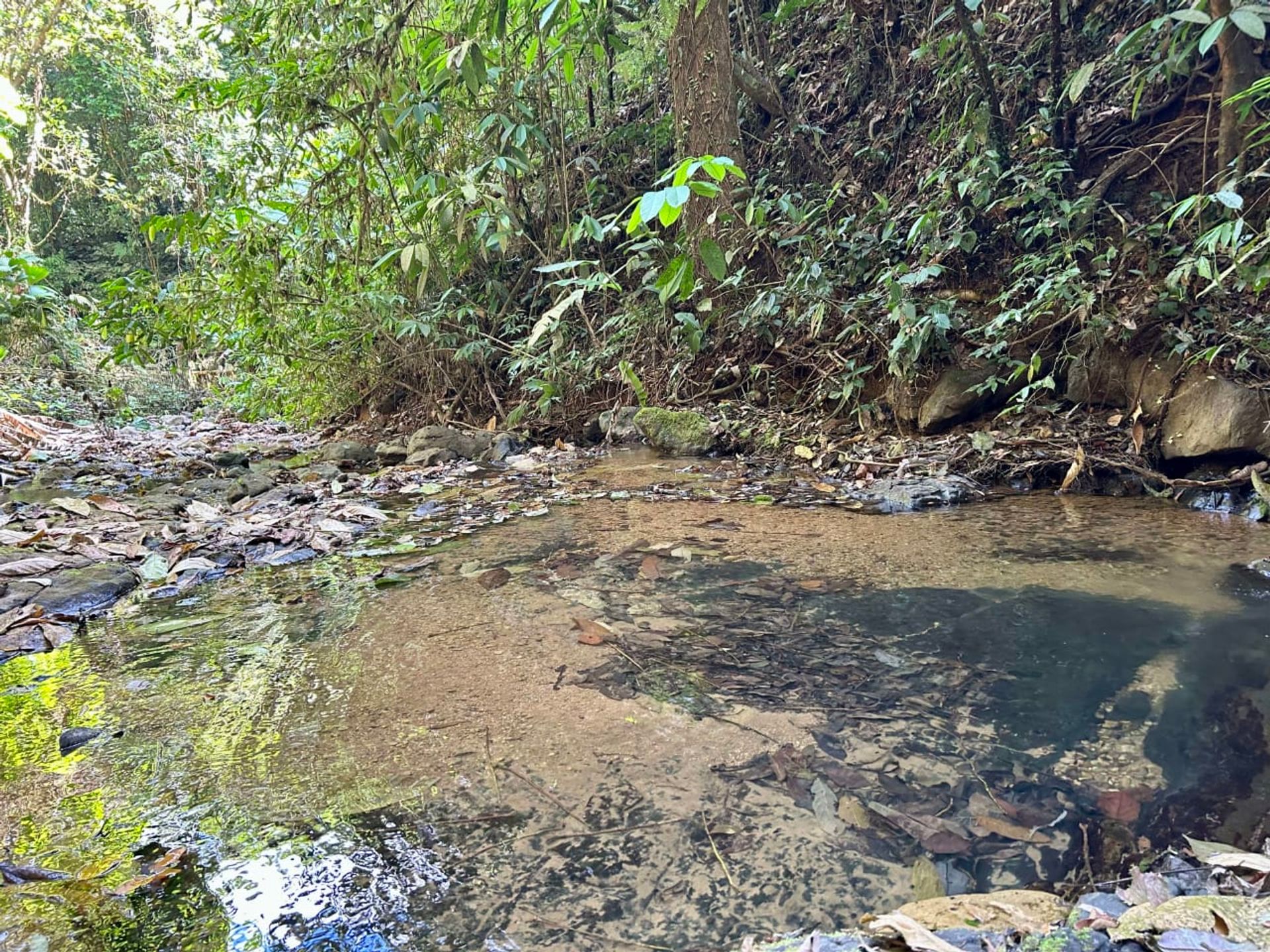 房子 在 Ciudad Cortés, Puntarenas Province 12399300