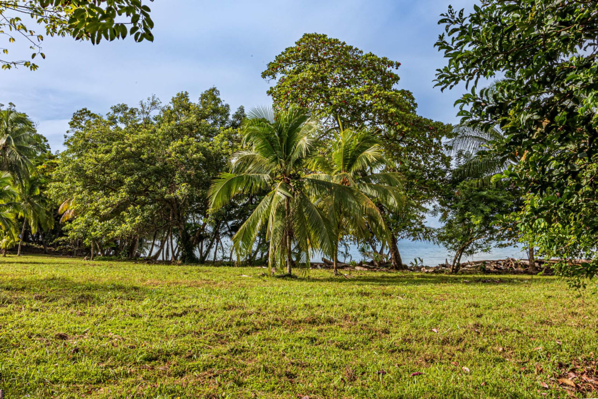 Кондоминиум в Uvita, Puntarenas Province 12399303