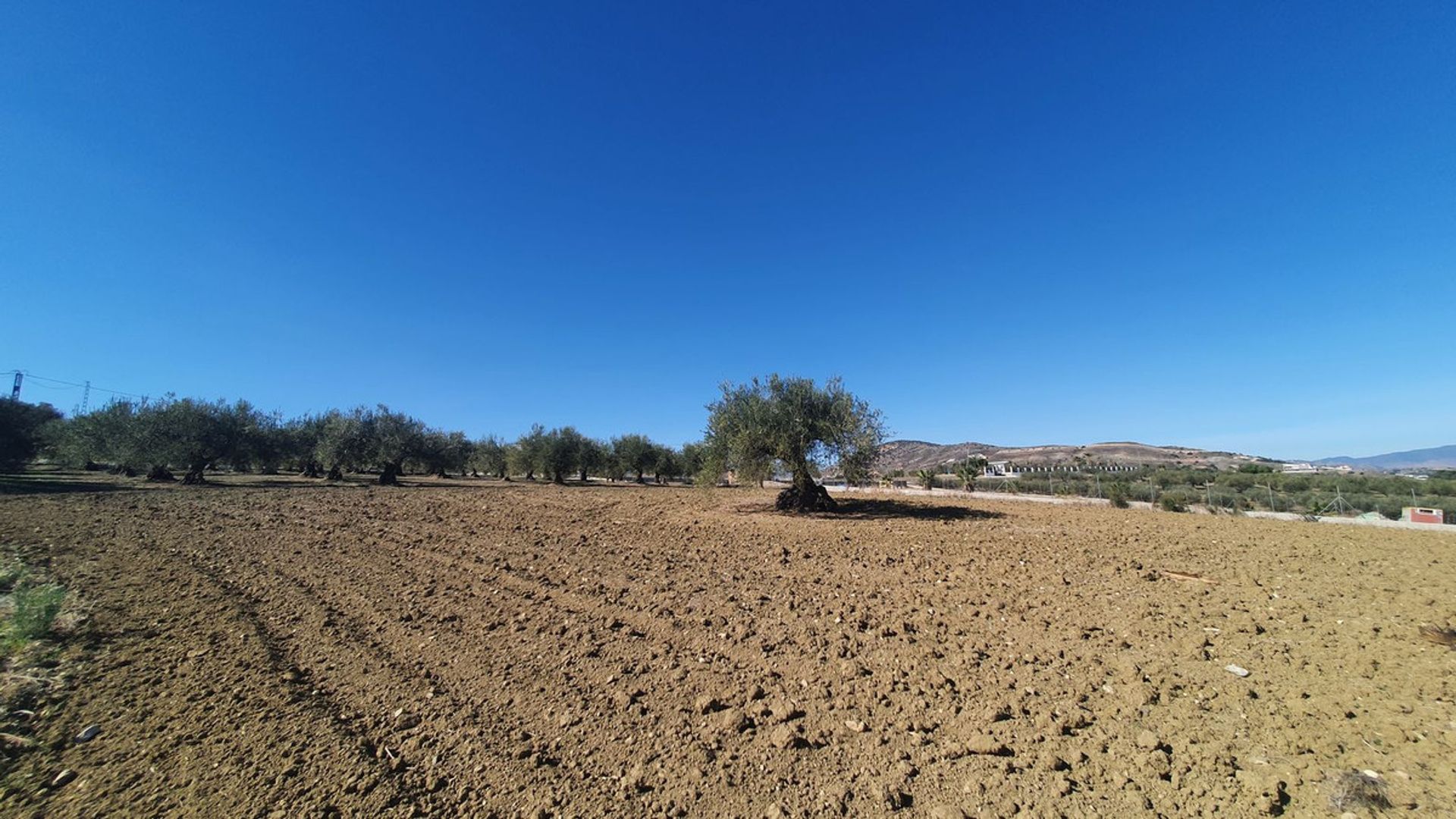 Terra no Alhaurín el Grande, Andaluzia 12399485