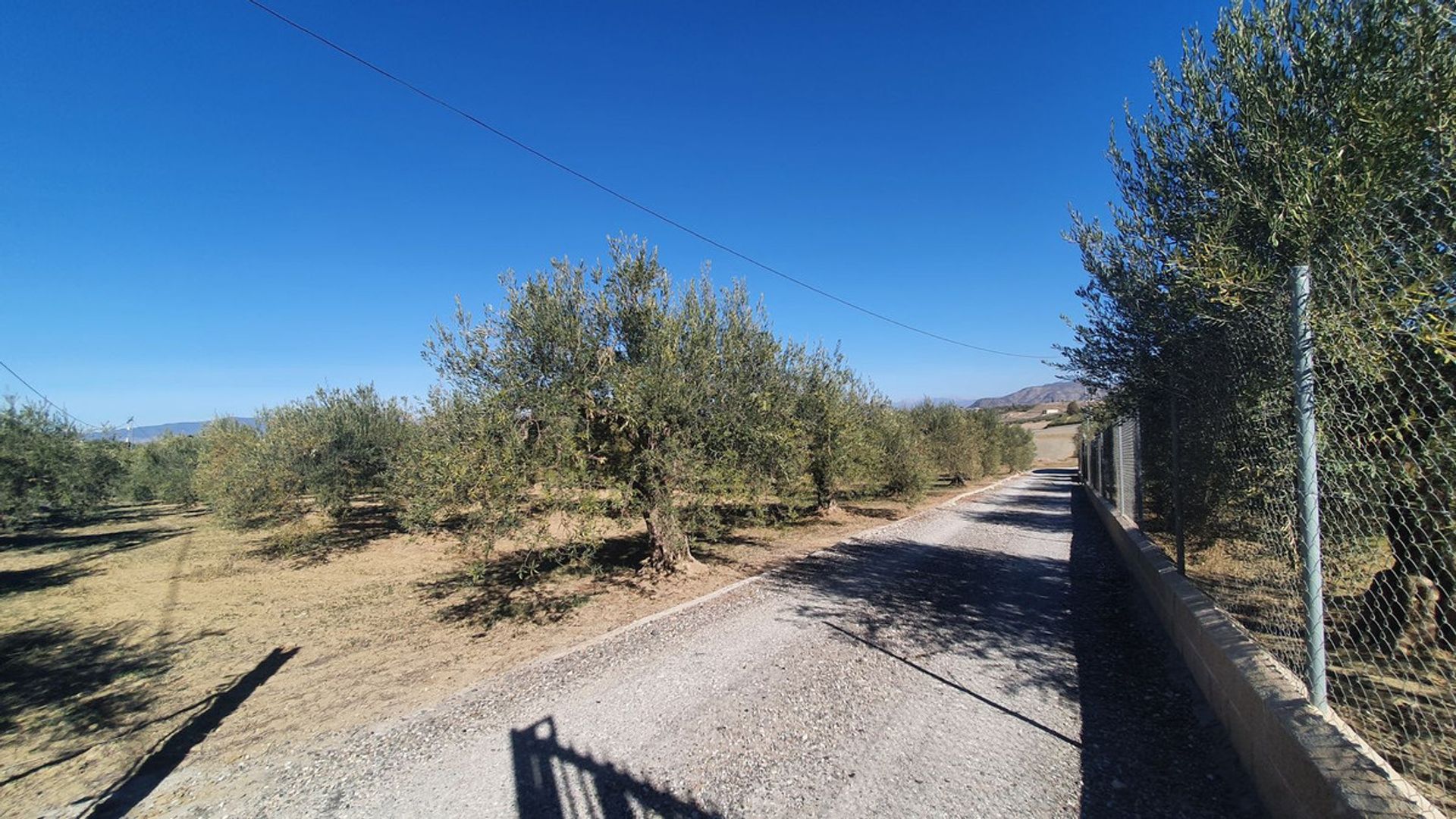 土地 在 Alhaurín el Grande, Andalusia 12399485