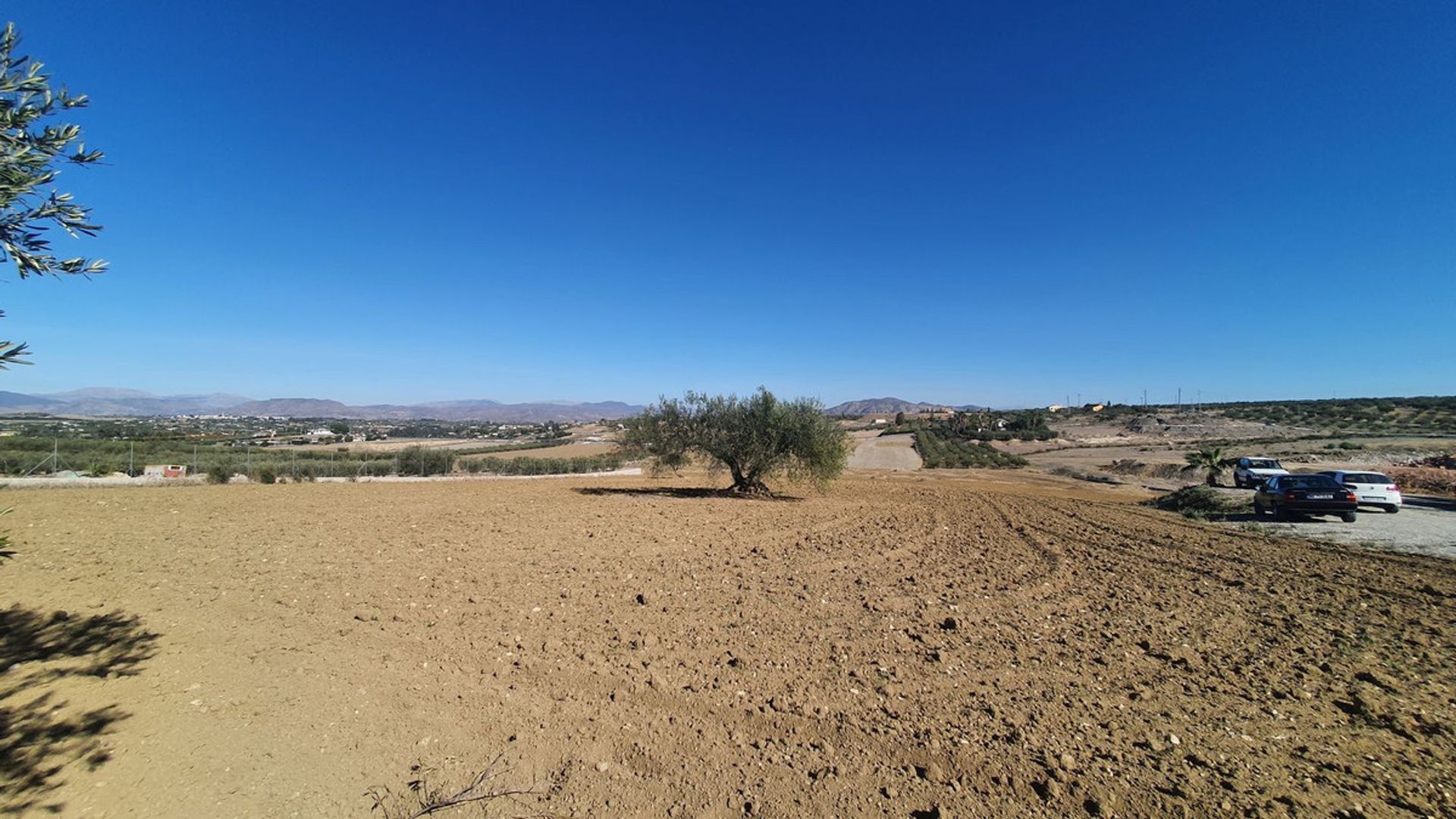 土地 在 Alhaurín el Grande, Andalusia 12399485