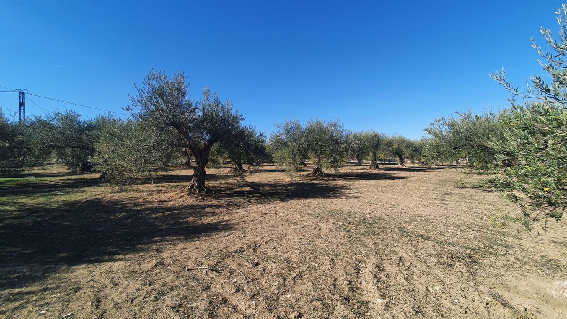 Terra no Alhaurín el Grande, Andaluzia 12399485