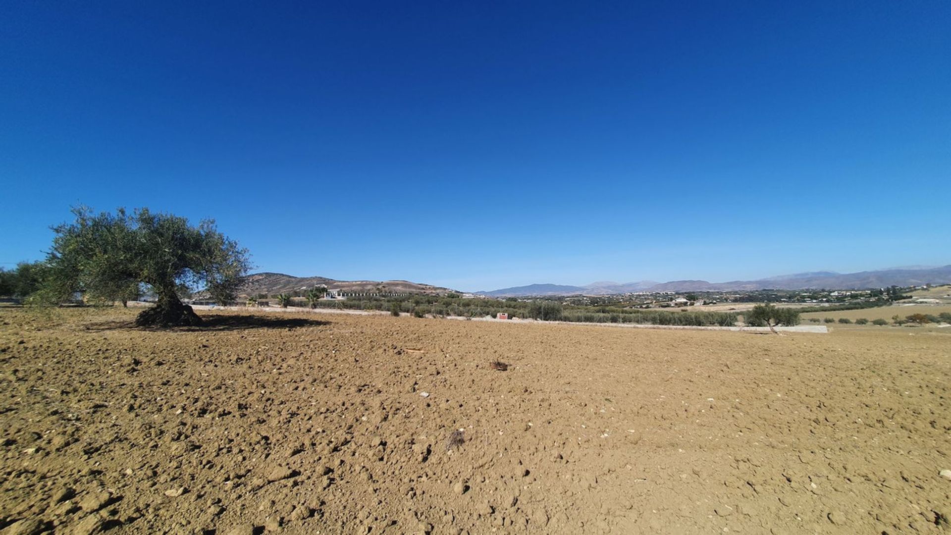 土地 在 Alhaurín el Grande, Andalusia 12399485