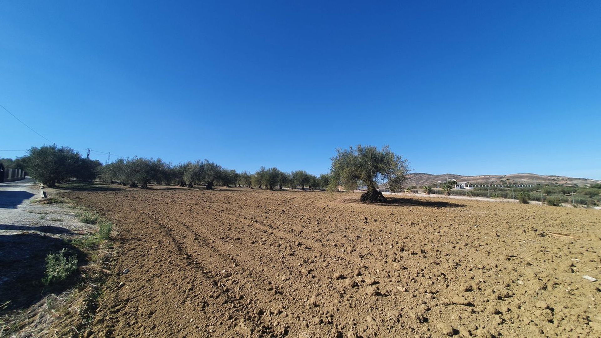 土地 在 Alhaurín el Grande, Andalusia 12399485