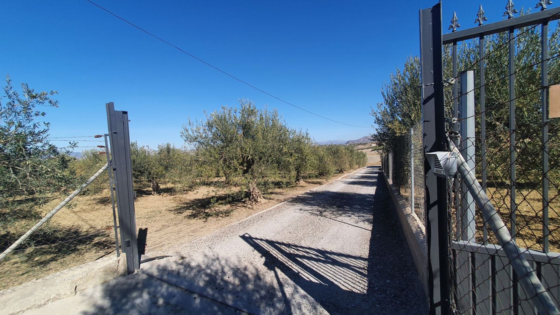 Terra no Alhaurín el Grande, Andaluzia 12399485