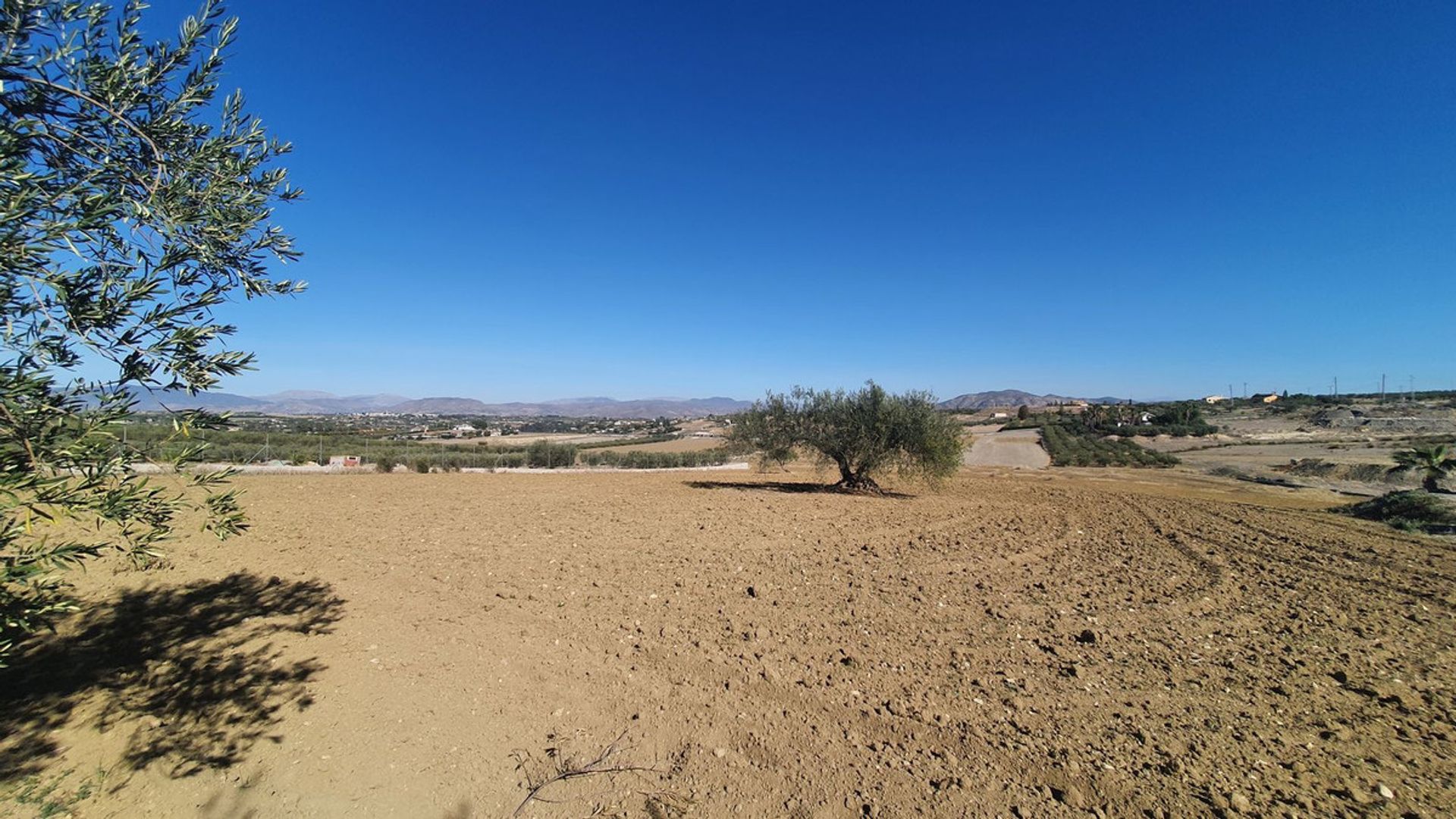 土地 在 Alhaurín el Grande, Andalusia 12399485