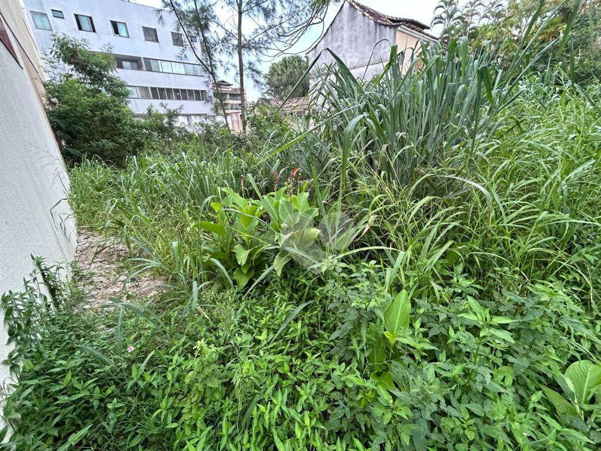 Land i Recreio dos Bandeirantes, Rio de Janeiro 12400858