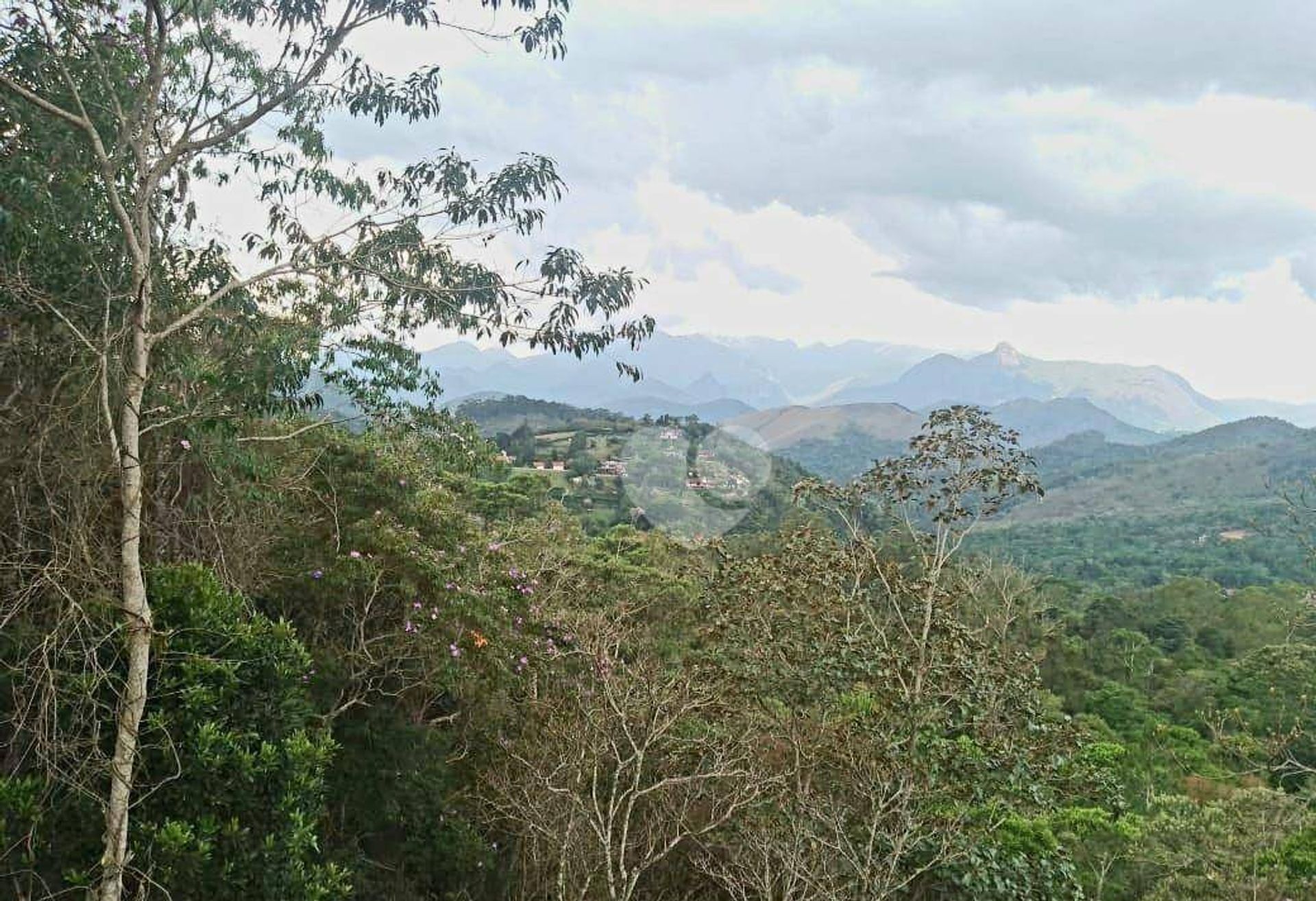 Land im Santa Catarina, Rio de Janeiro 12400865