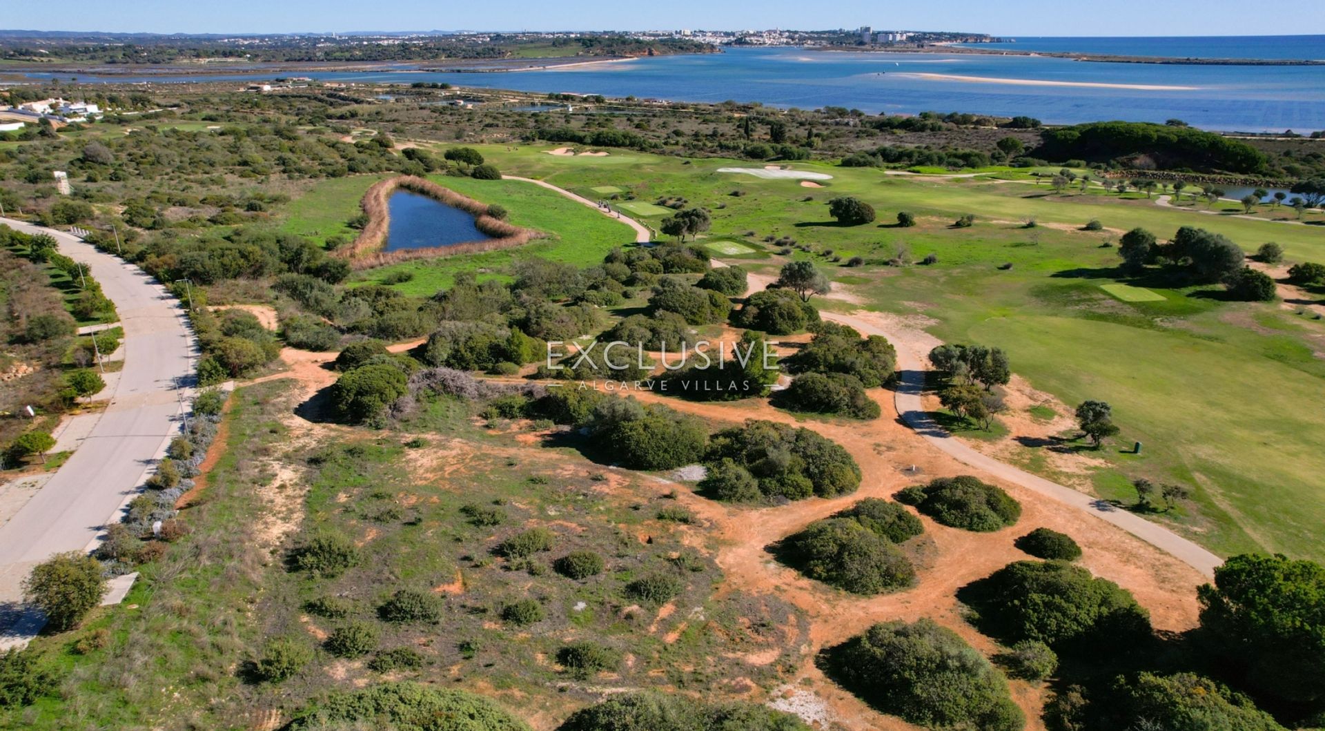 Terre dans Torre, Faro 12400873