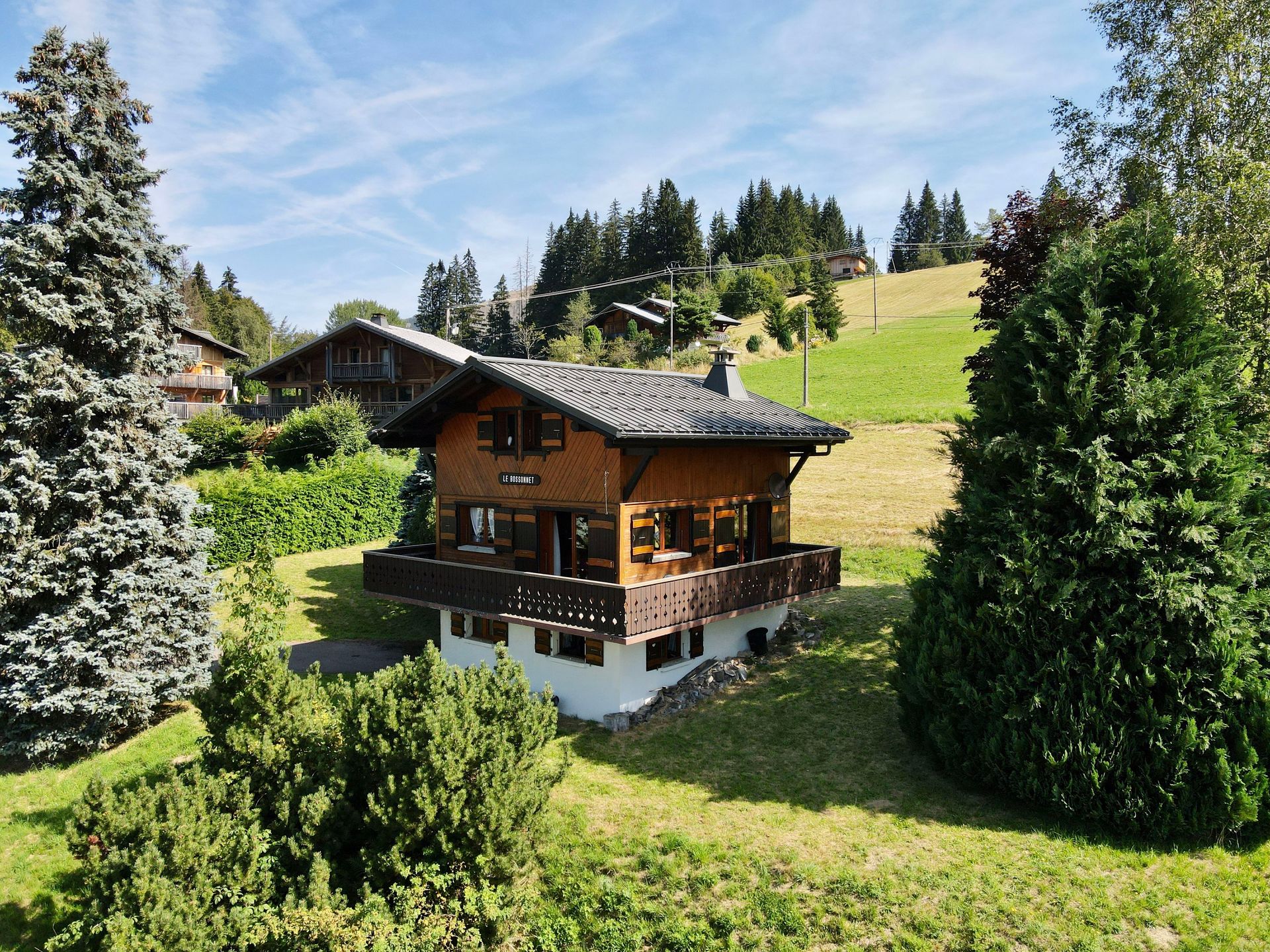 Andere im Les Gets, Auvergne-Rhône-Alpes 12401494