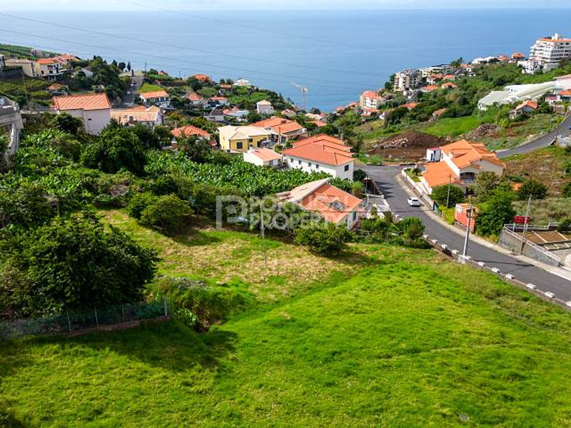 Land in Estreito da Calheta, Madeira 12401504