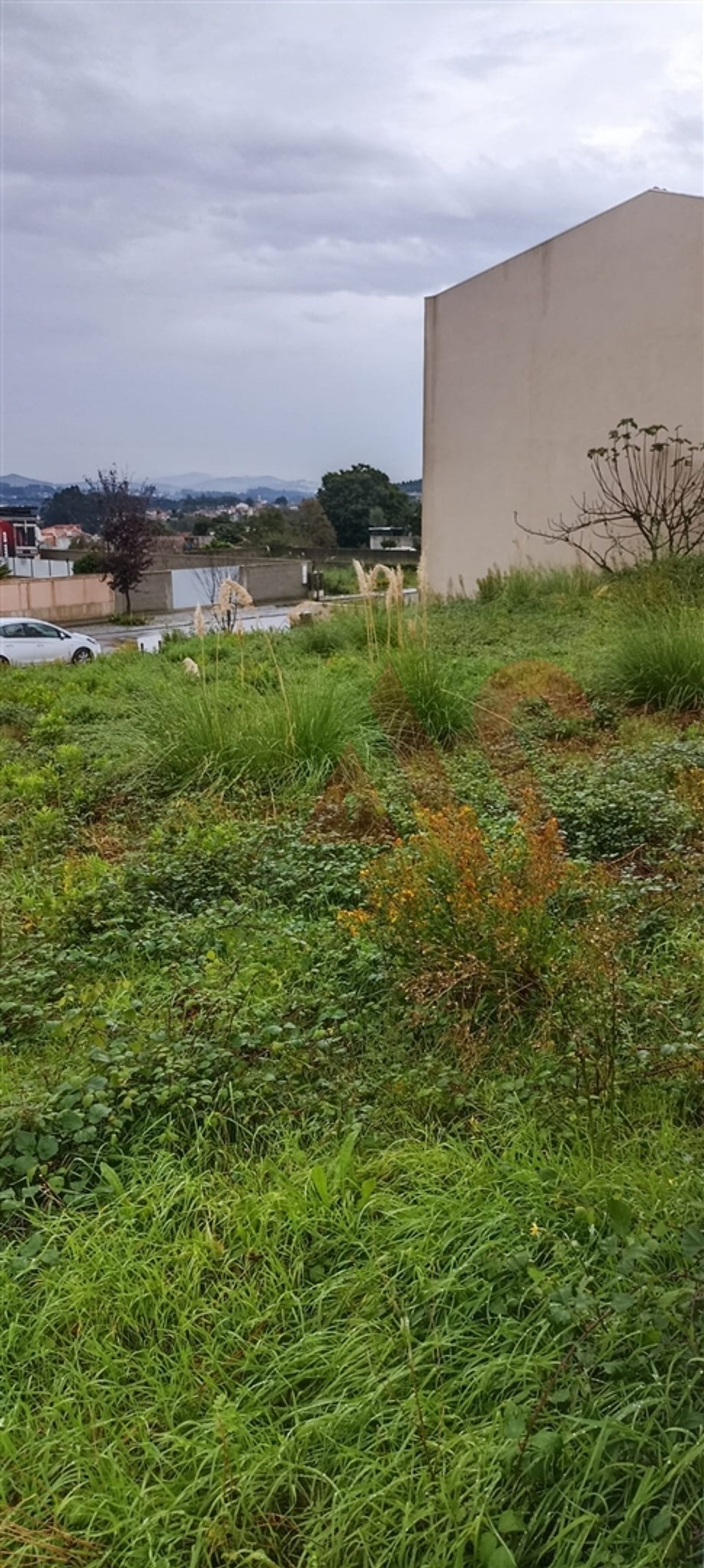 Terra no Quintao, Porto 12401957