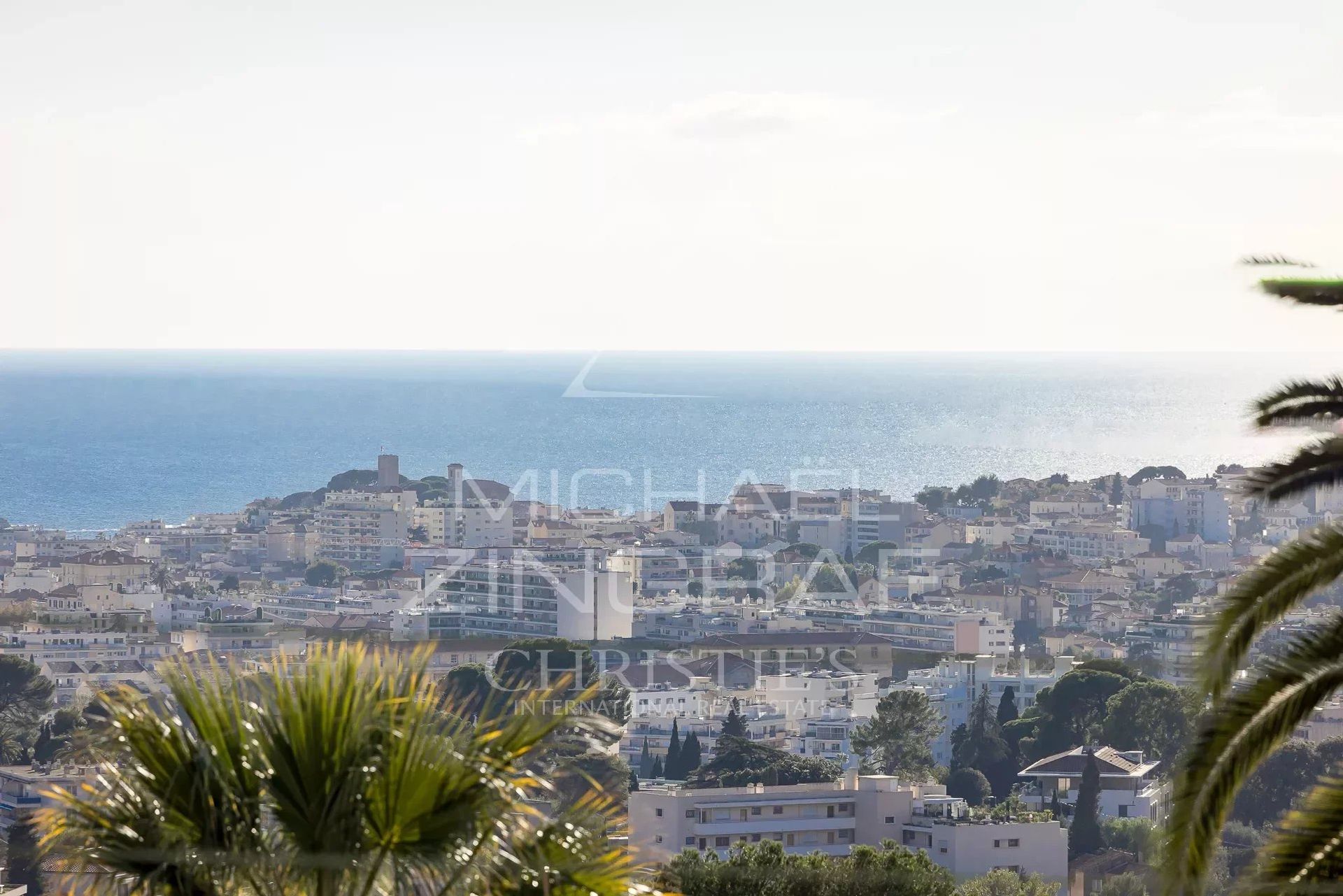 Residential in Le Cannet, Alpes-Maritimes 12402854