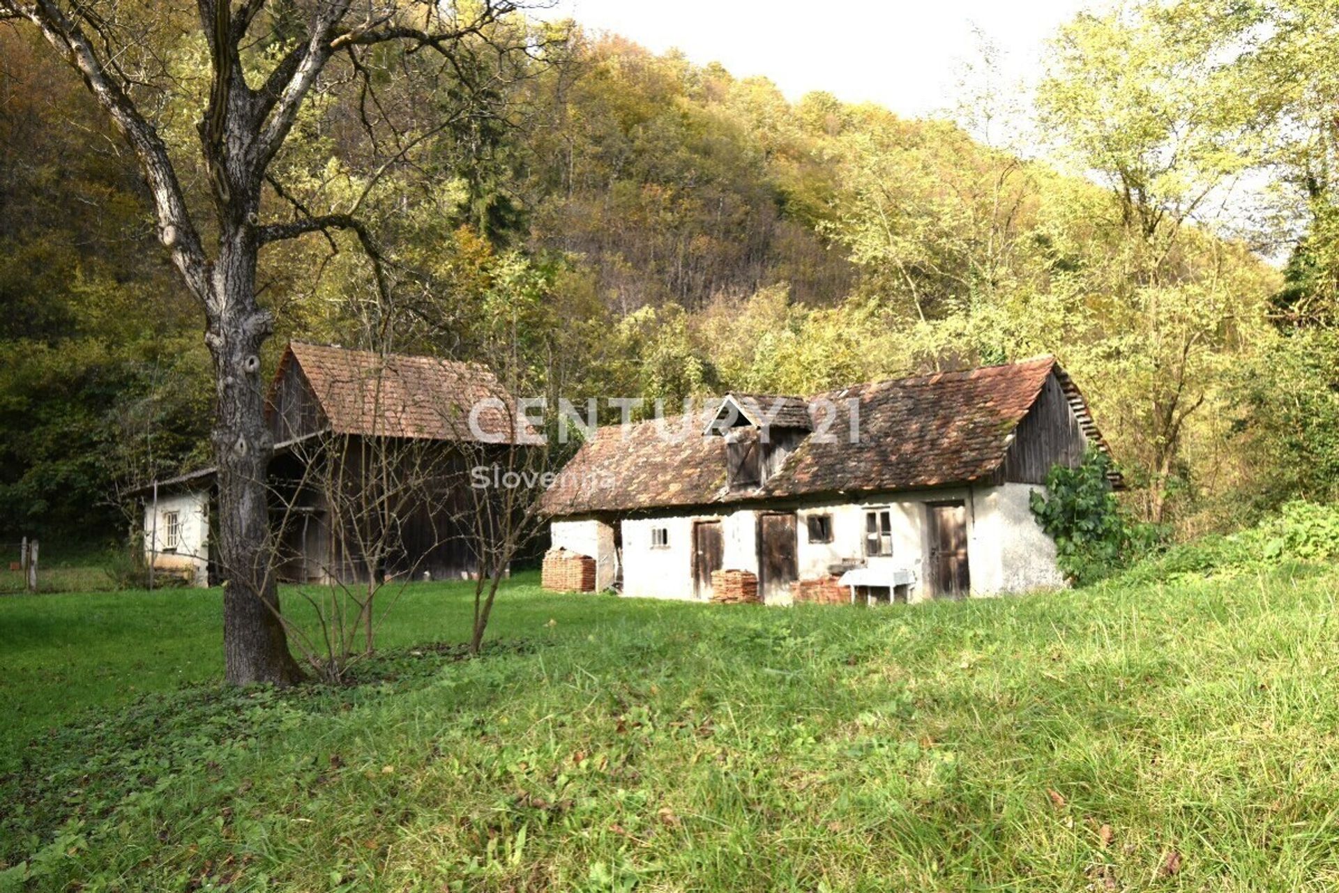 Земля в Javorek, Загребацька жупанія 12403123