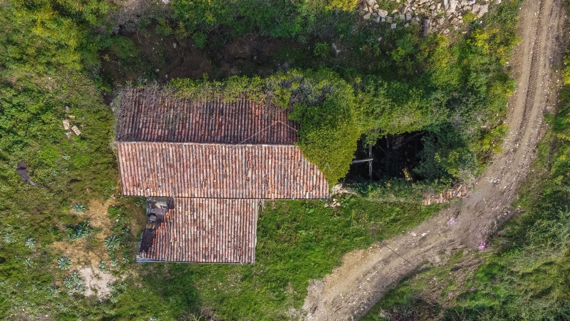 Rumah di Motovun, Istria County 12403238